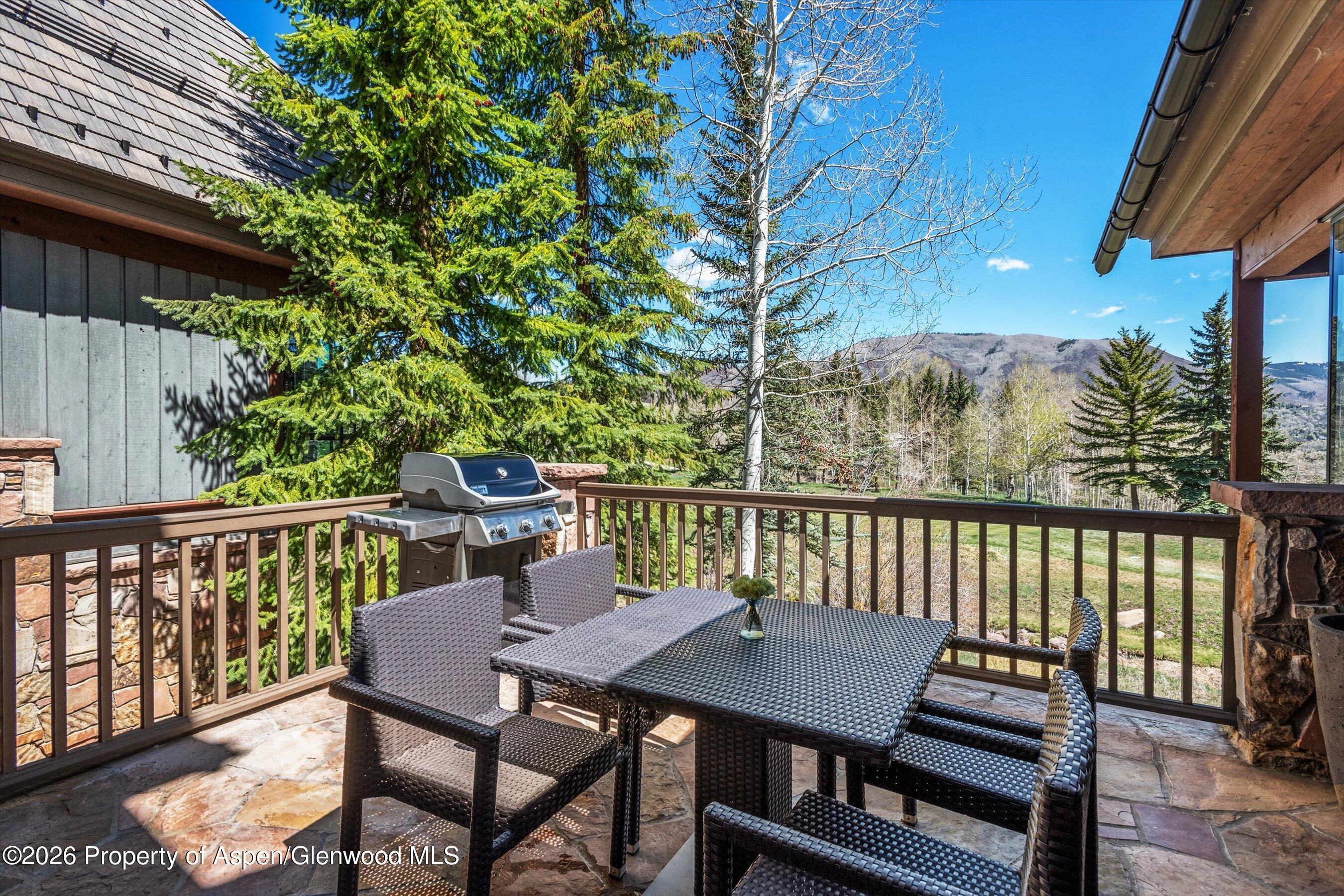 74 Pfister Drive Aspen CO 81611