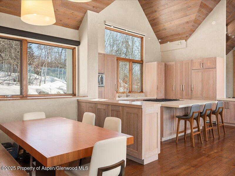 975 S Starwood Aspen CO 81611