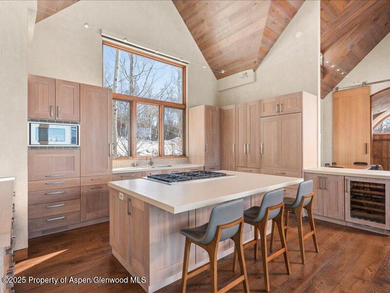 975 S Starwood Aspen CO 81611