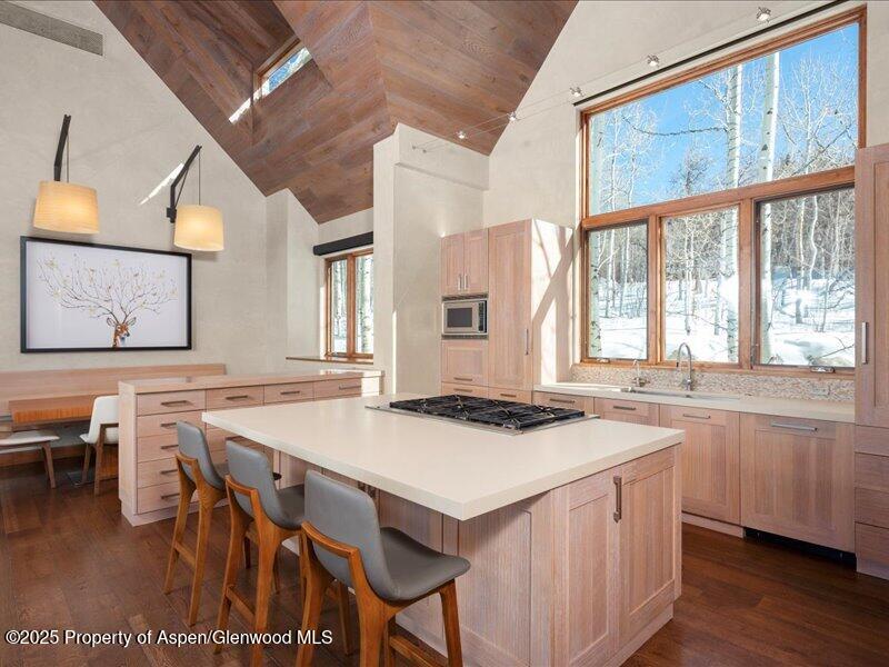 975 S Starwood Aspen CO 81611