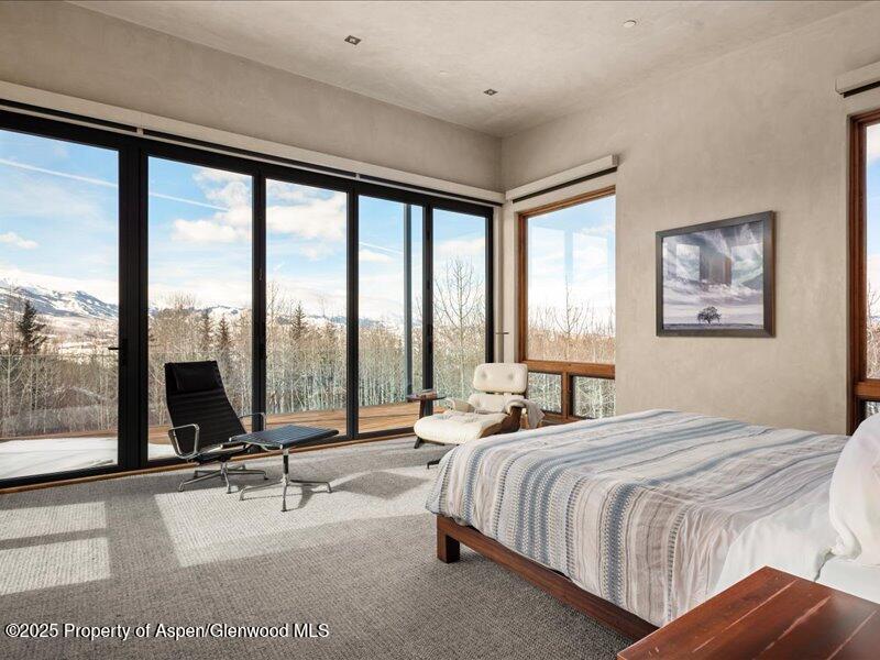 975 S Starwood Aspen CO 81611