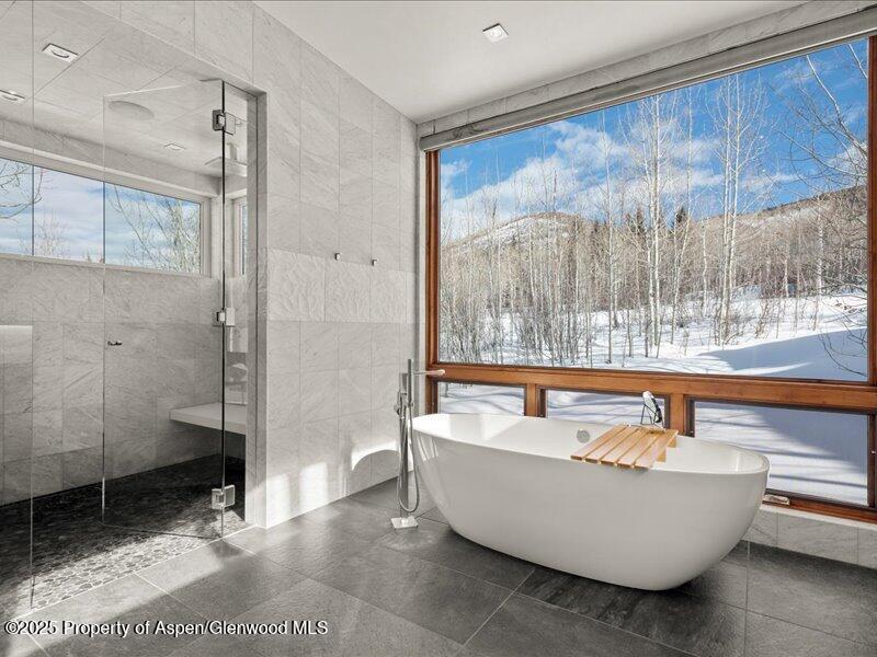 975 S Starwood Aspen CO 81611