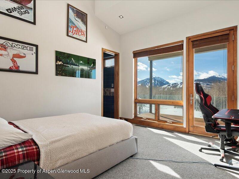 975 S Starwood Aspen CO 81611