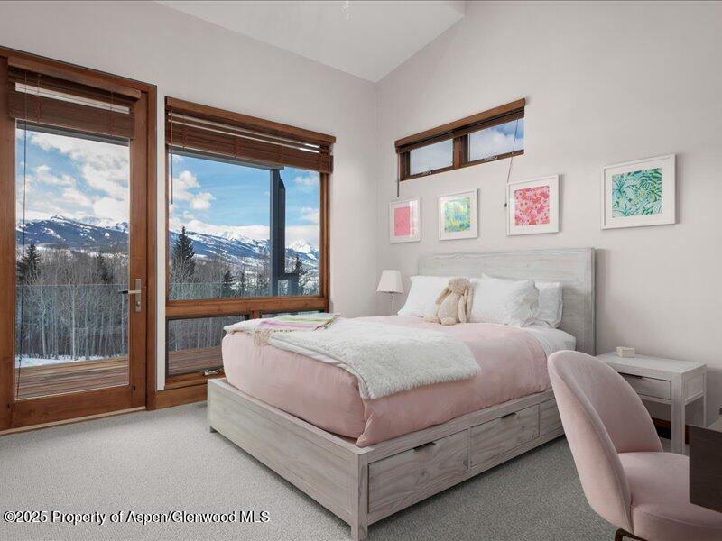 975 S Starwood Aspen CO 81611