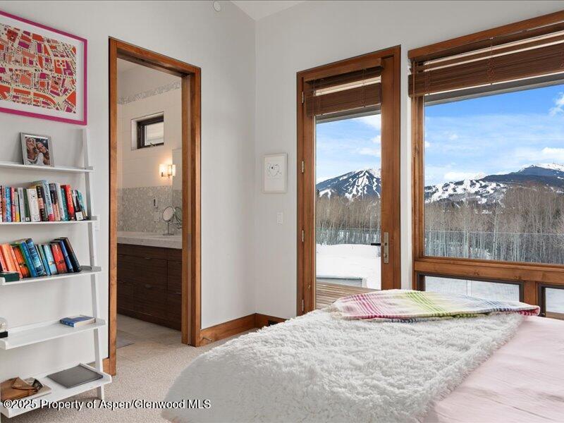 975 S Starwood Aspen CO 81611