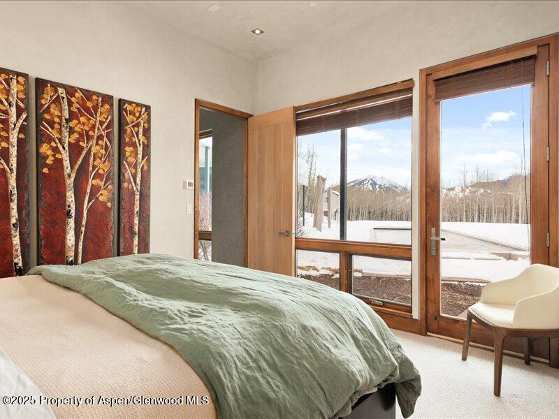 975 S Starwood Aspen CO 81611