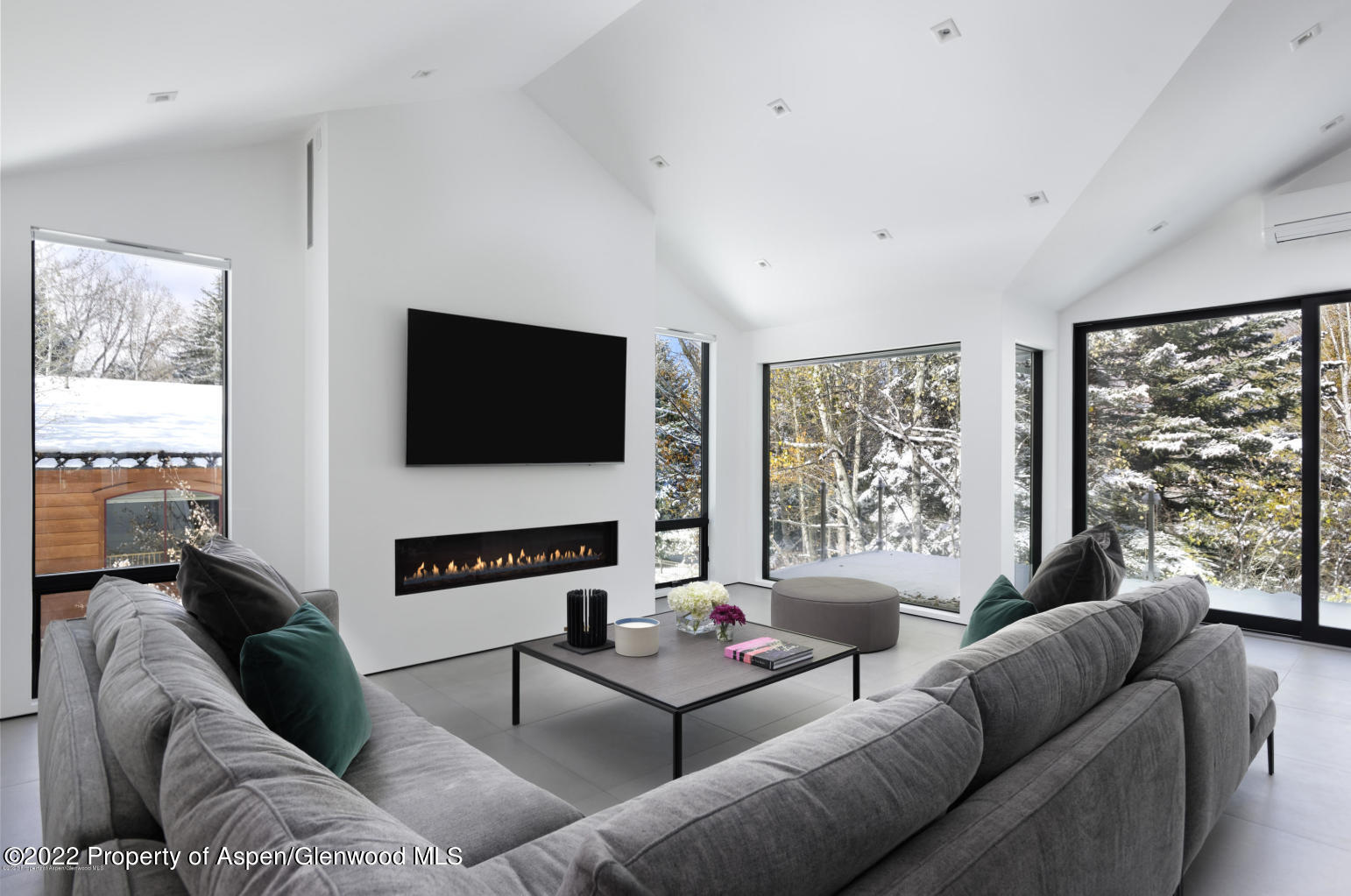 521 N Seventh Street Aspen CO 81611