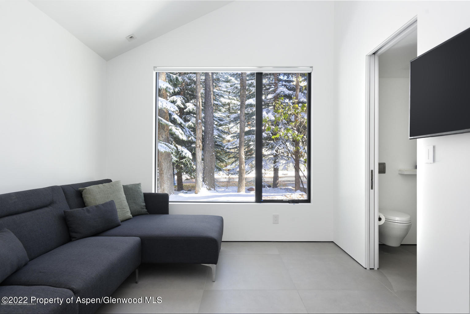 521 N Seventh Street Aspen CO 81611