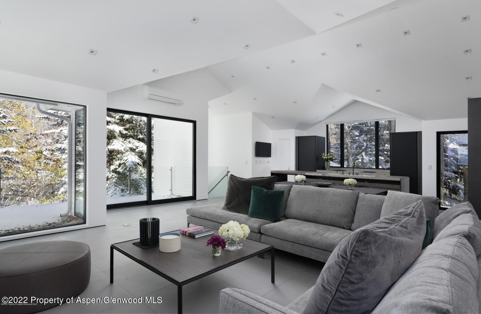 521 N Seventh Street Aspen CO 81611