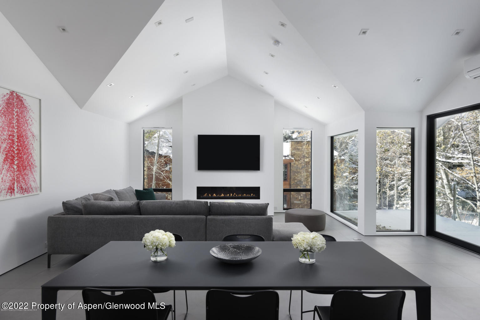 521 N Seventh Street Aspen CO 81611