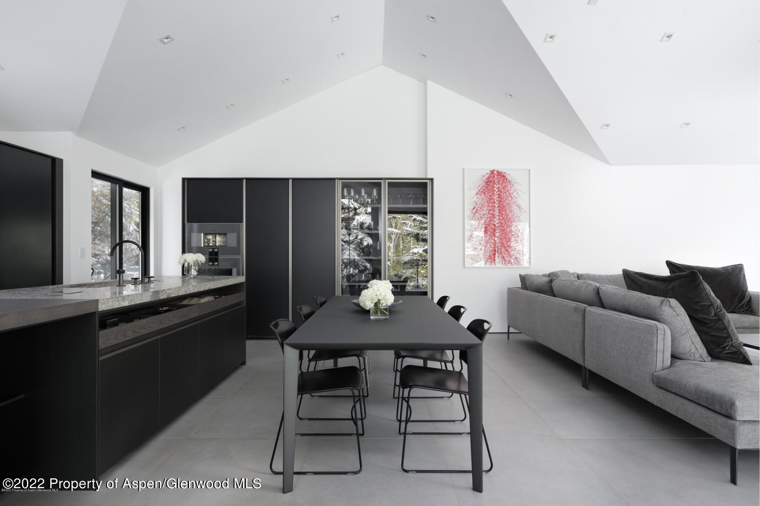 521 N Seventh Street Aspen CO 81611