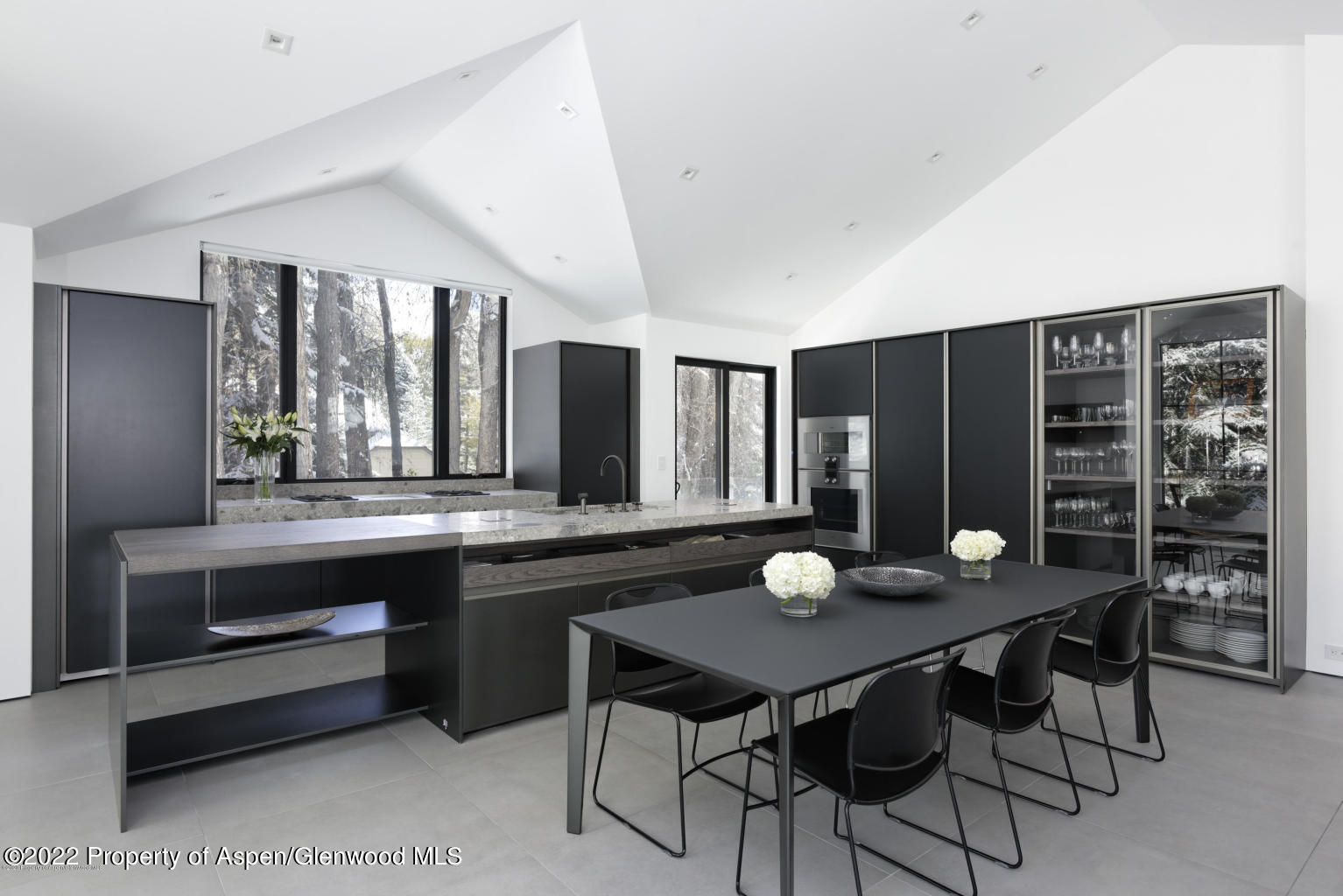 521 N Seventh Street Aspen CO 81611