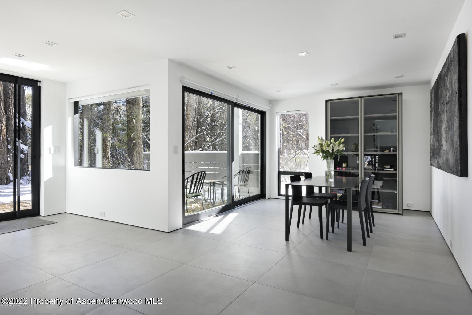 521 N Seventh Street Aspen CO 81611