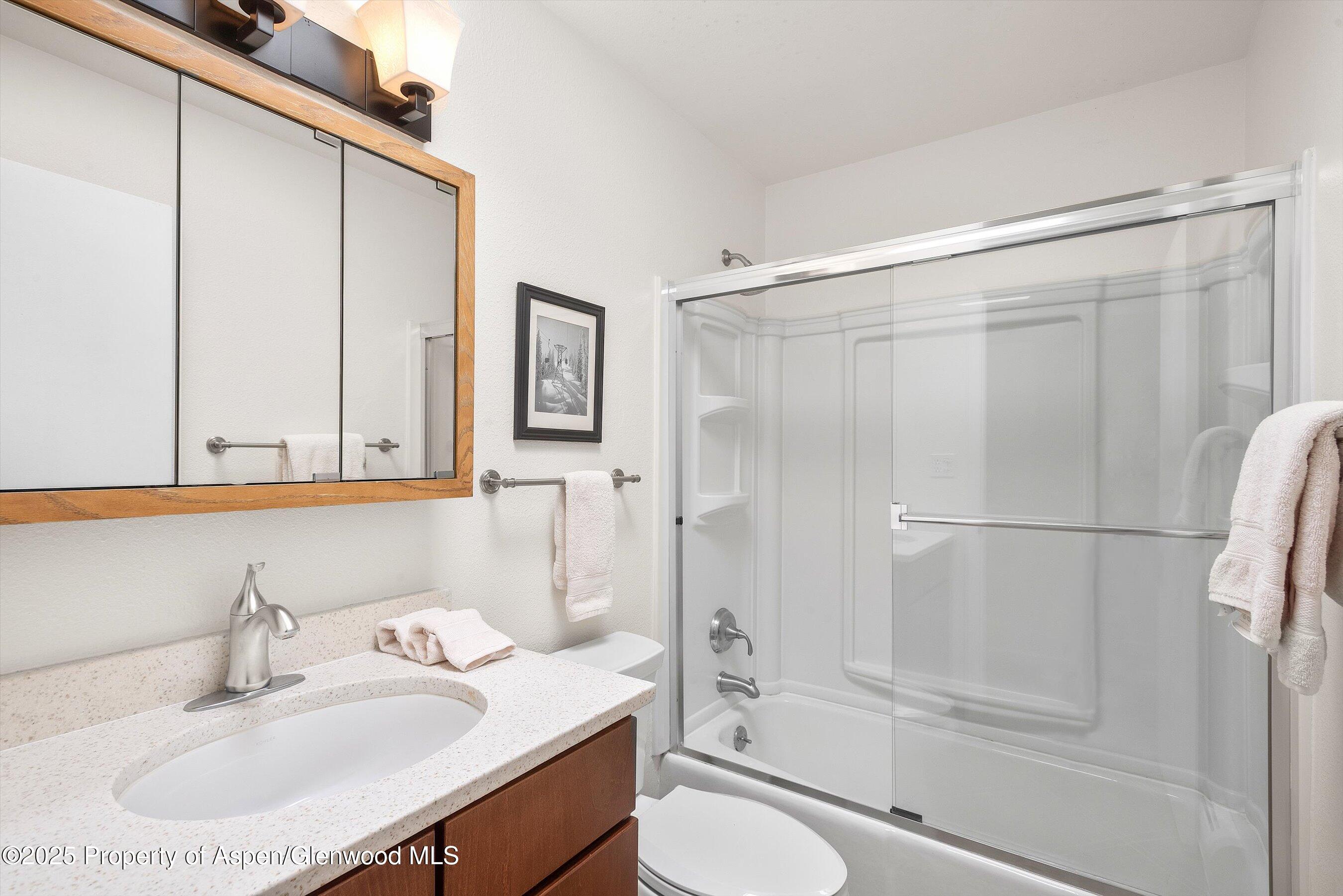 205 E Durant Avenue Aspen CO 81611