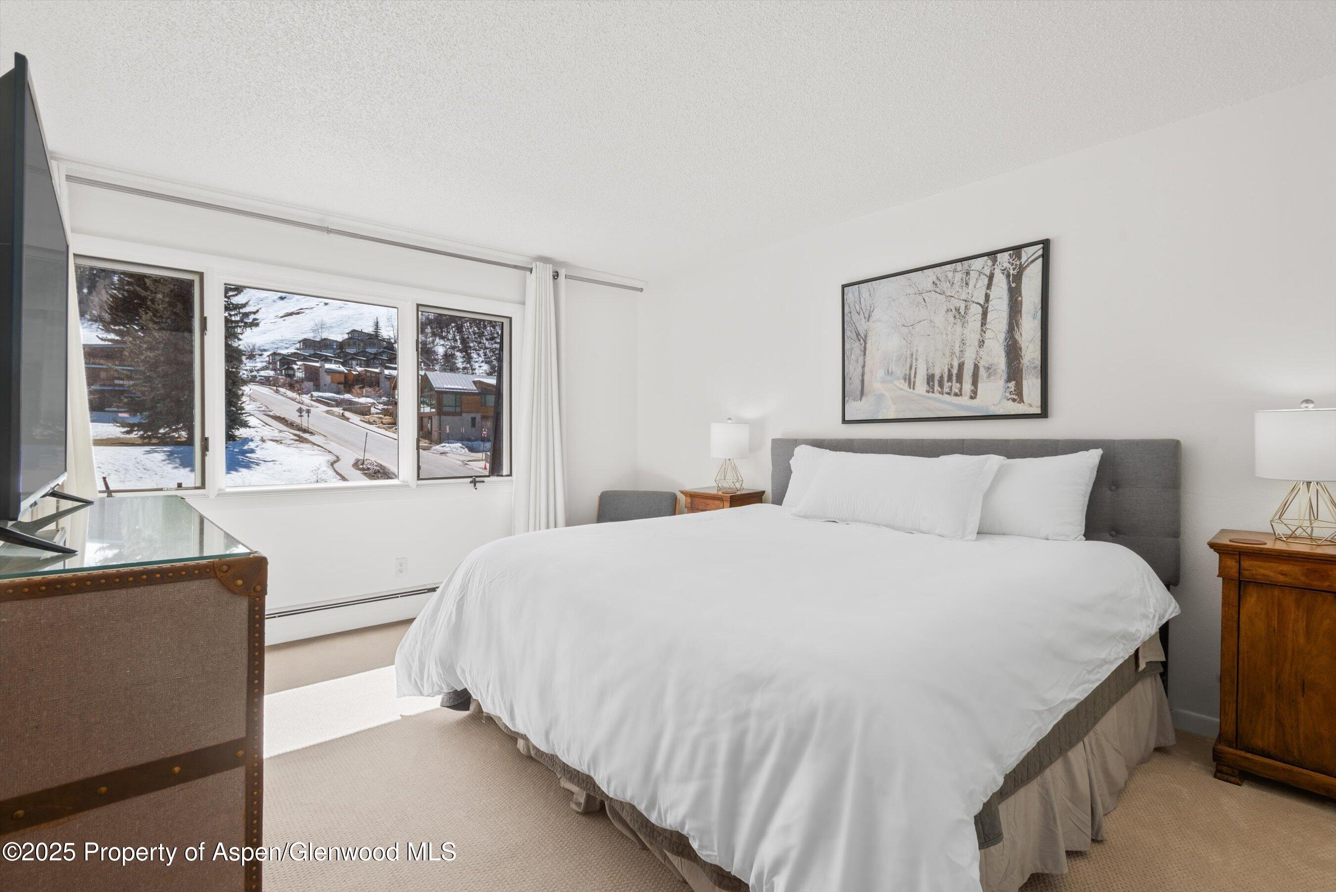 205 E Durant Avenue Aspen CO 81611
