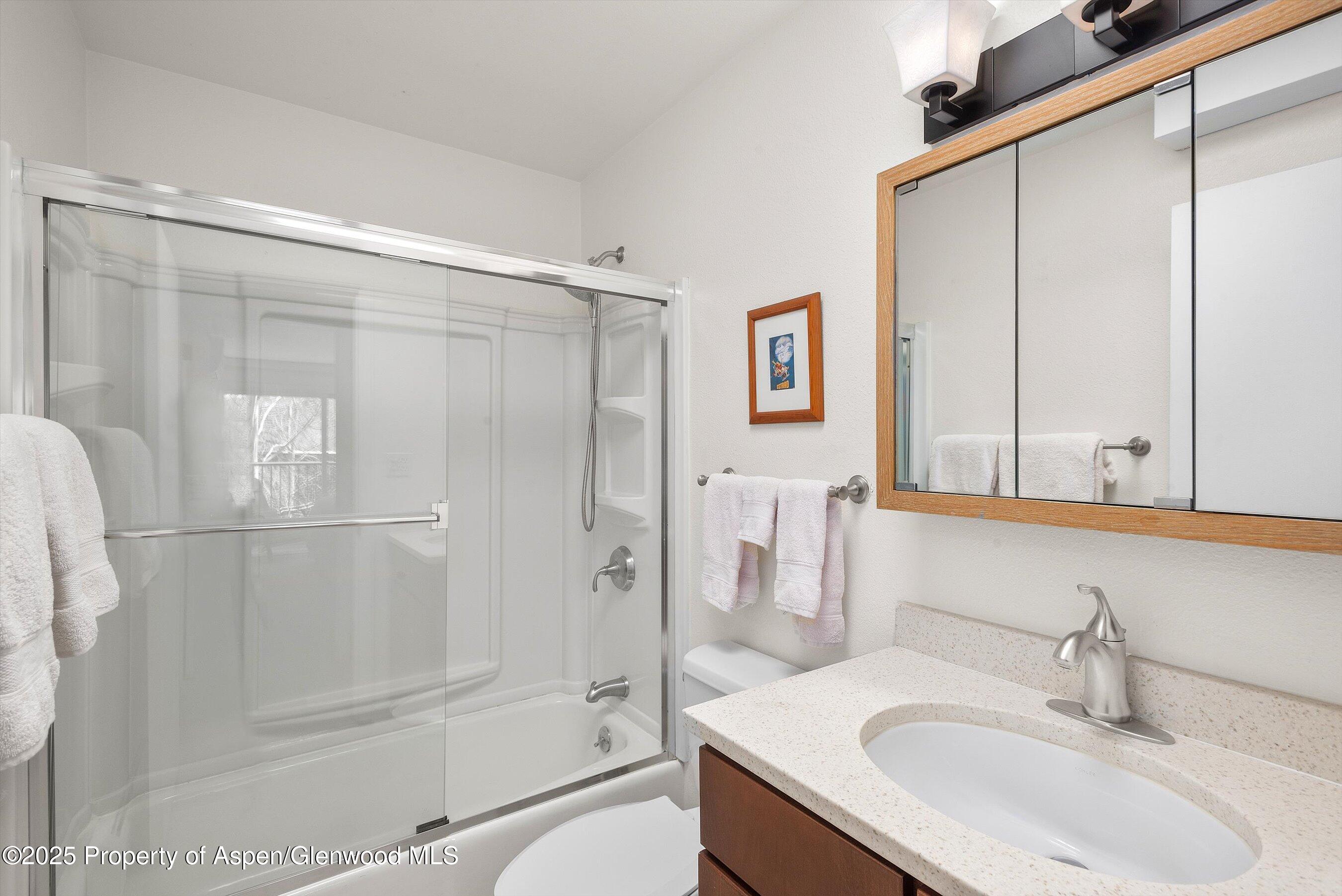 205 E Durant Avenue Aspen CO 81611