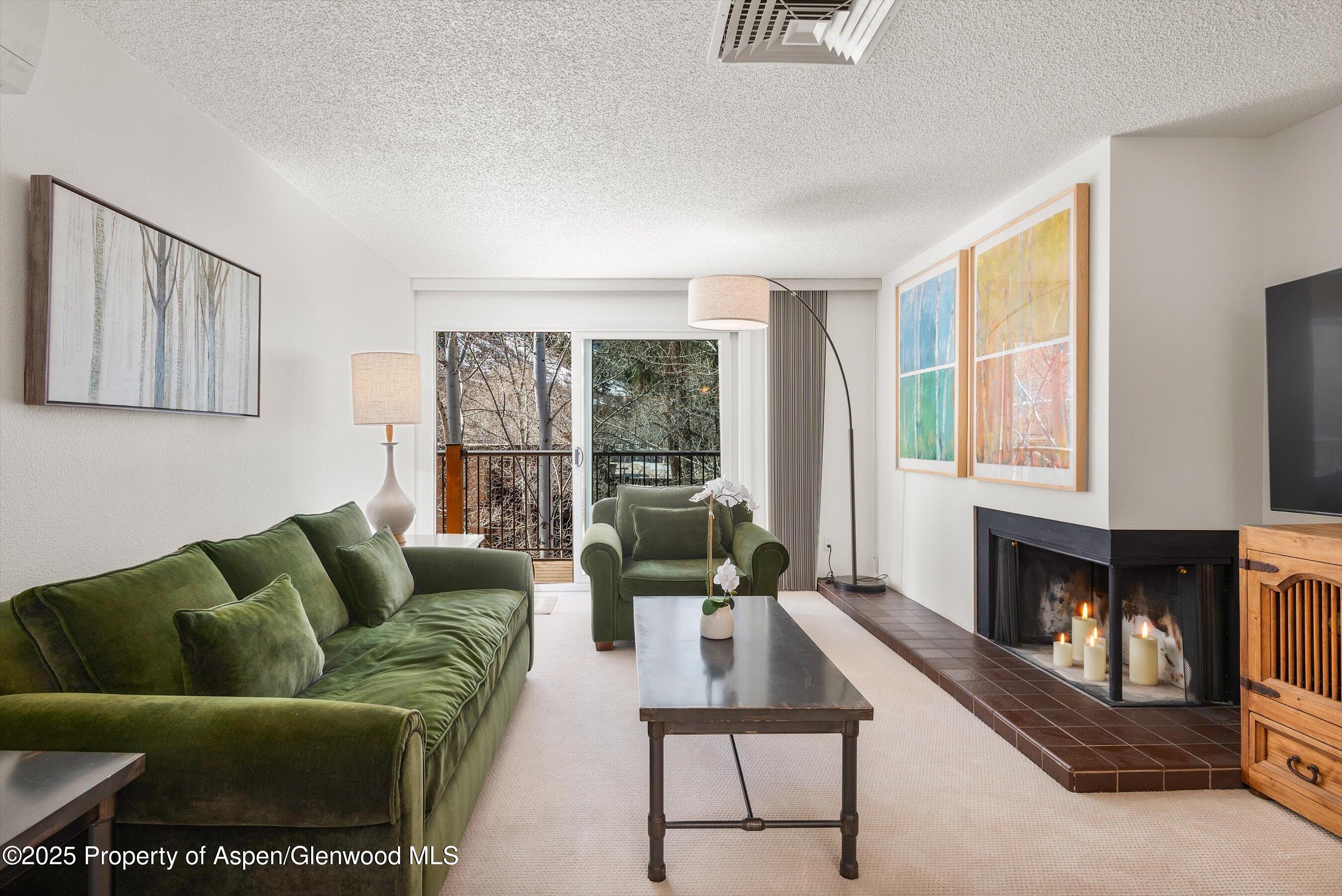205 E Durant Avenue Aspen CO 81611
