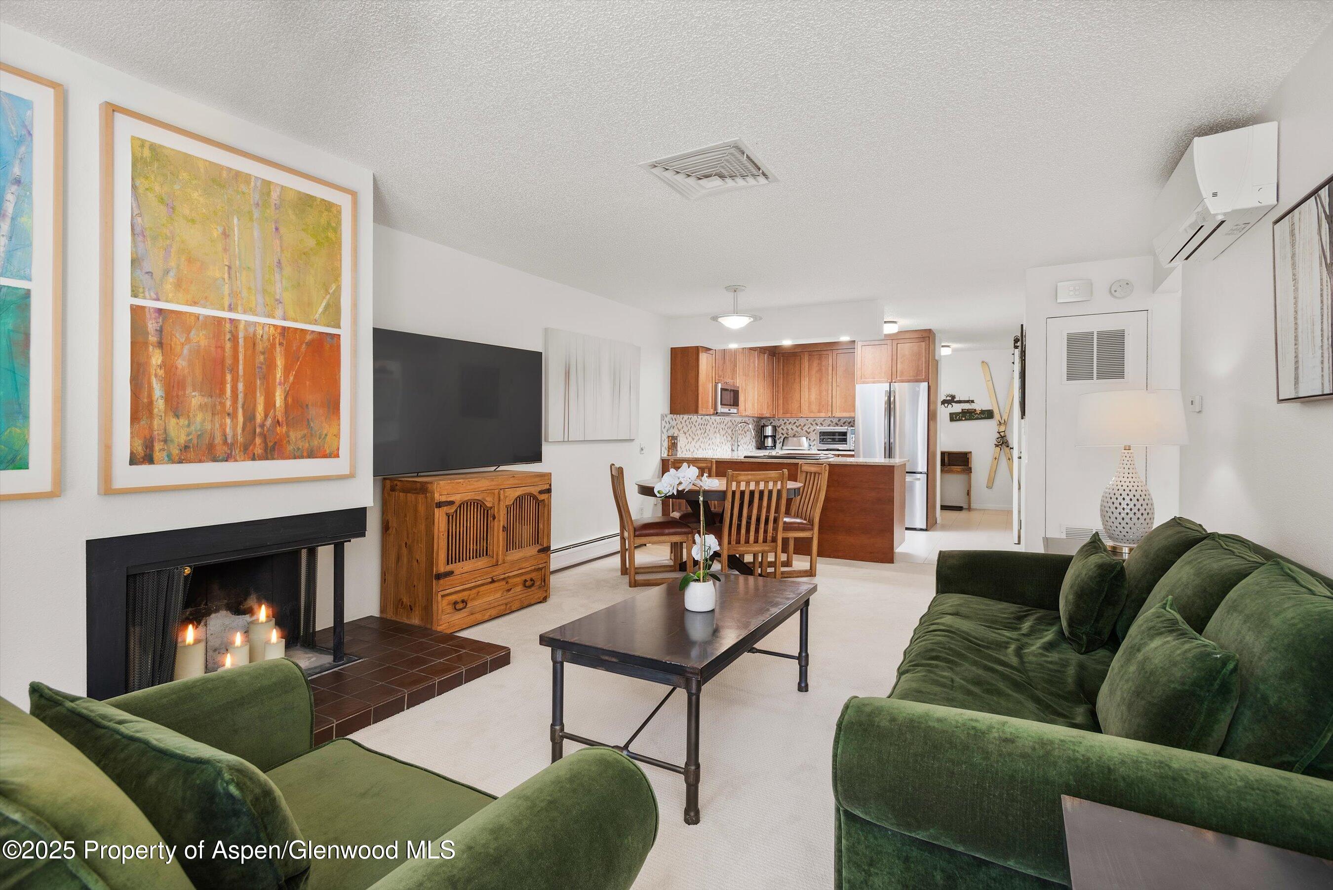 205 E Durant Avenue Aspen CO 81611