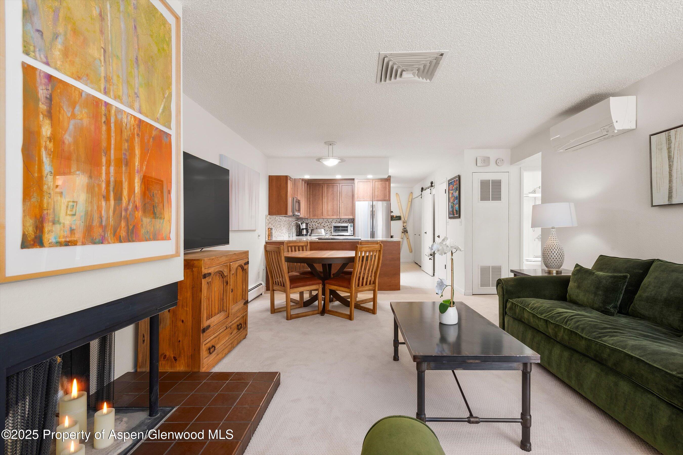 205 E Durant Avenue Aspen CO 81611