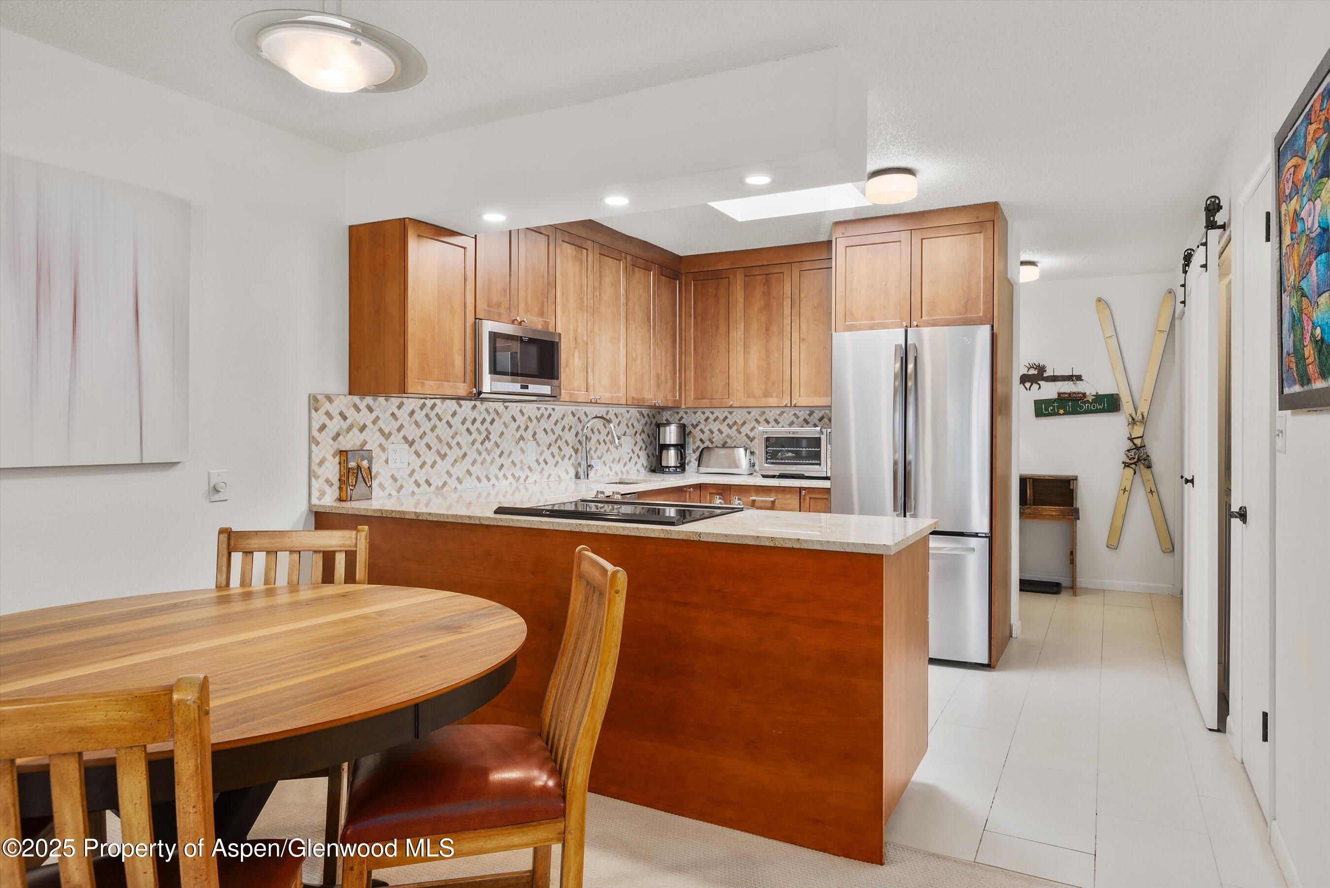 205 E Durant Avenue Aspen CO 81611