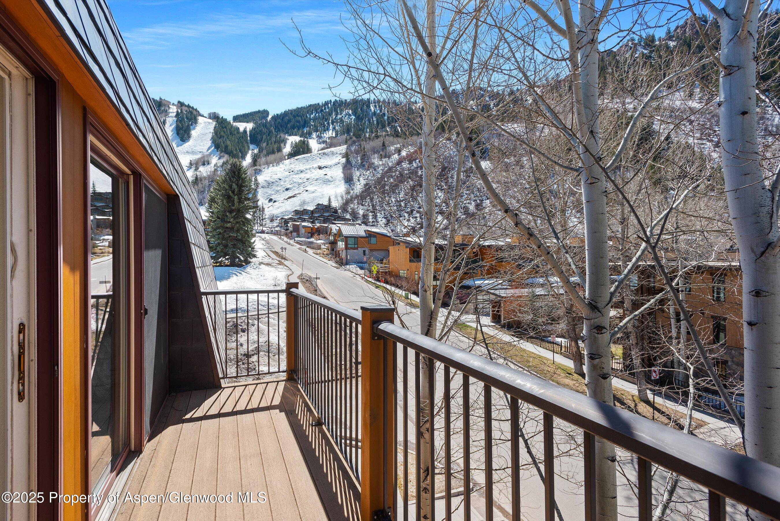 205 E Durant Avenue Aspen CO 81611