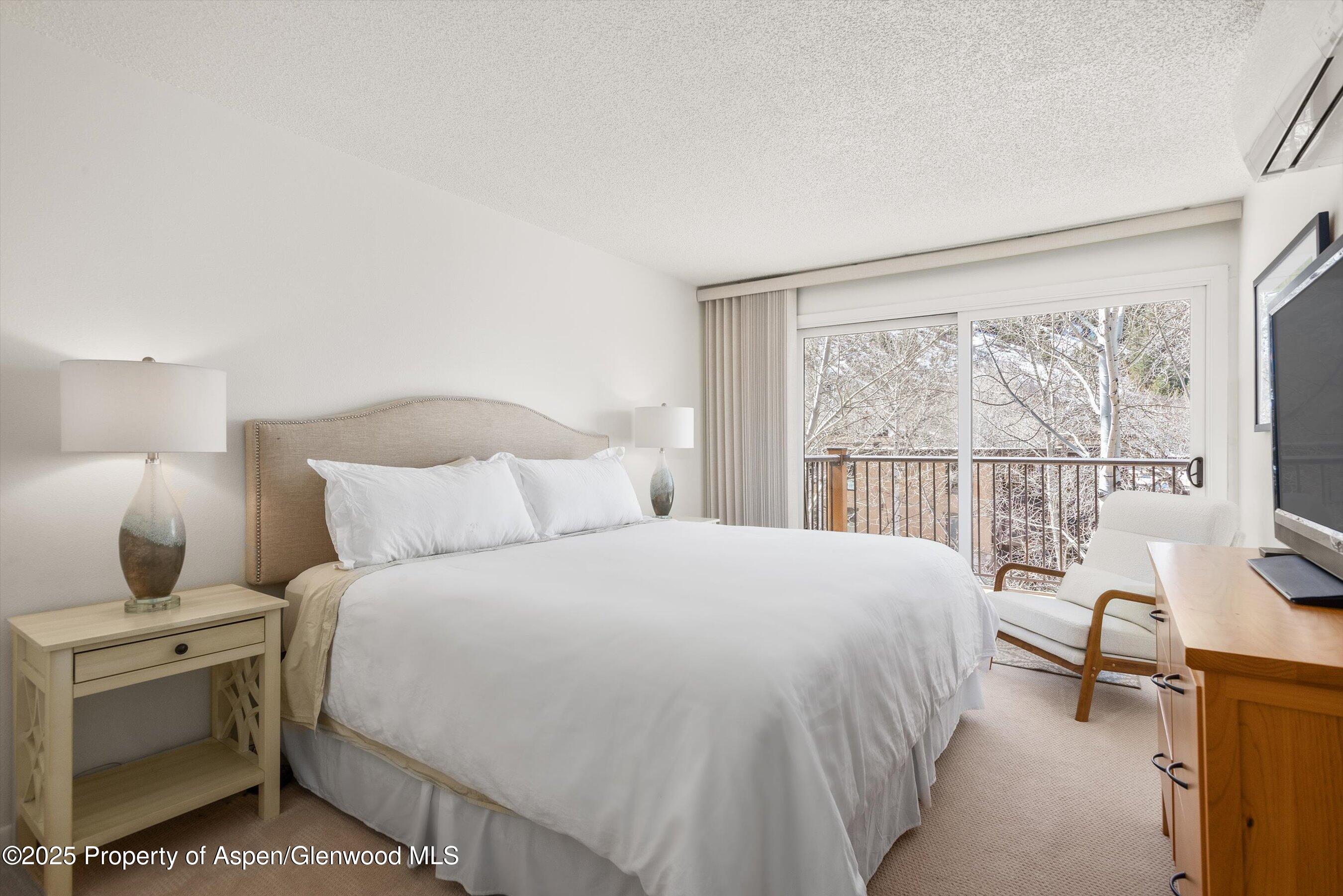 205 E Durant Avenue Aspen CO 81611