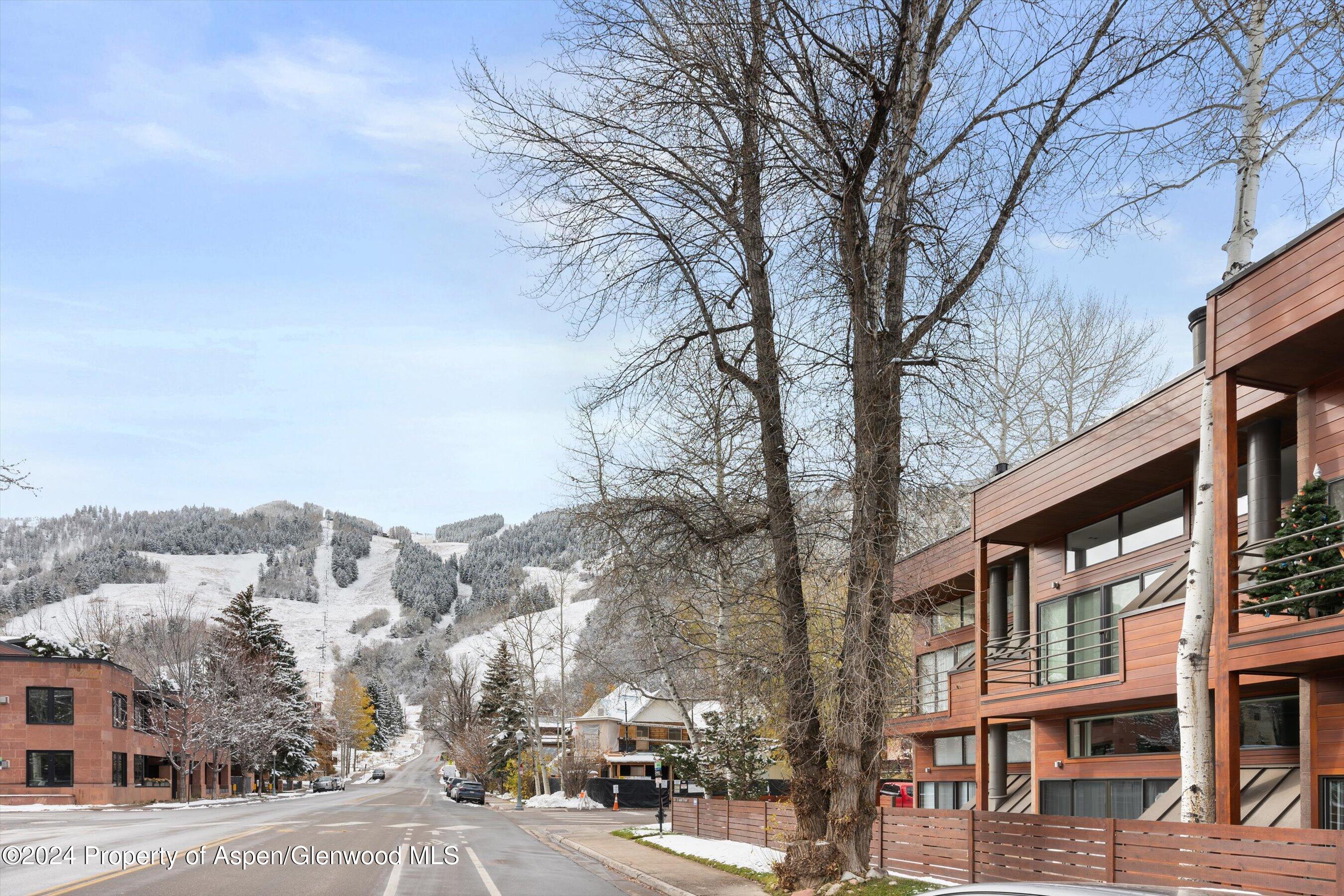 311 S Aspen Street Aspen CO 81611