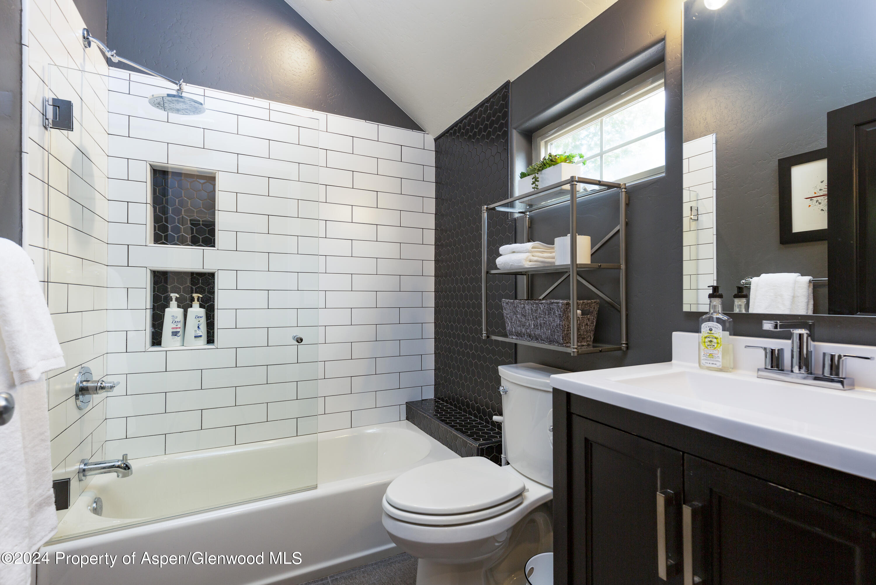 405 Meadow Court Basalt CO 81621