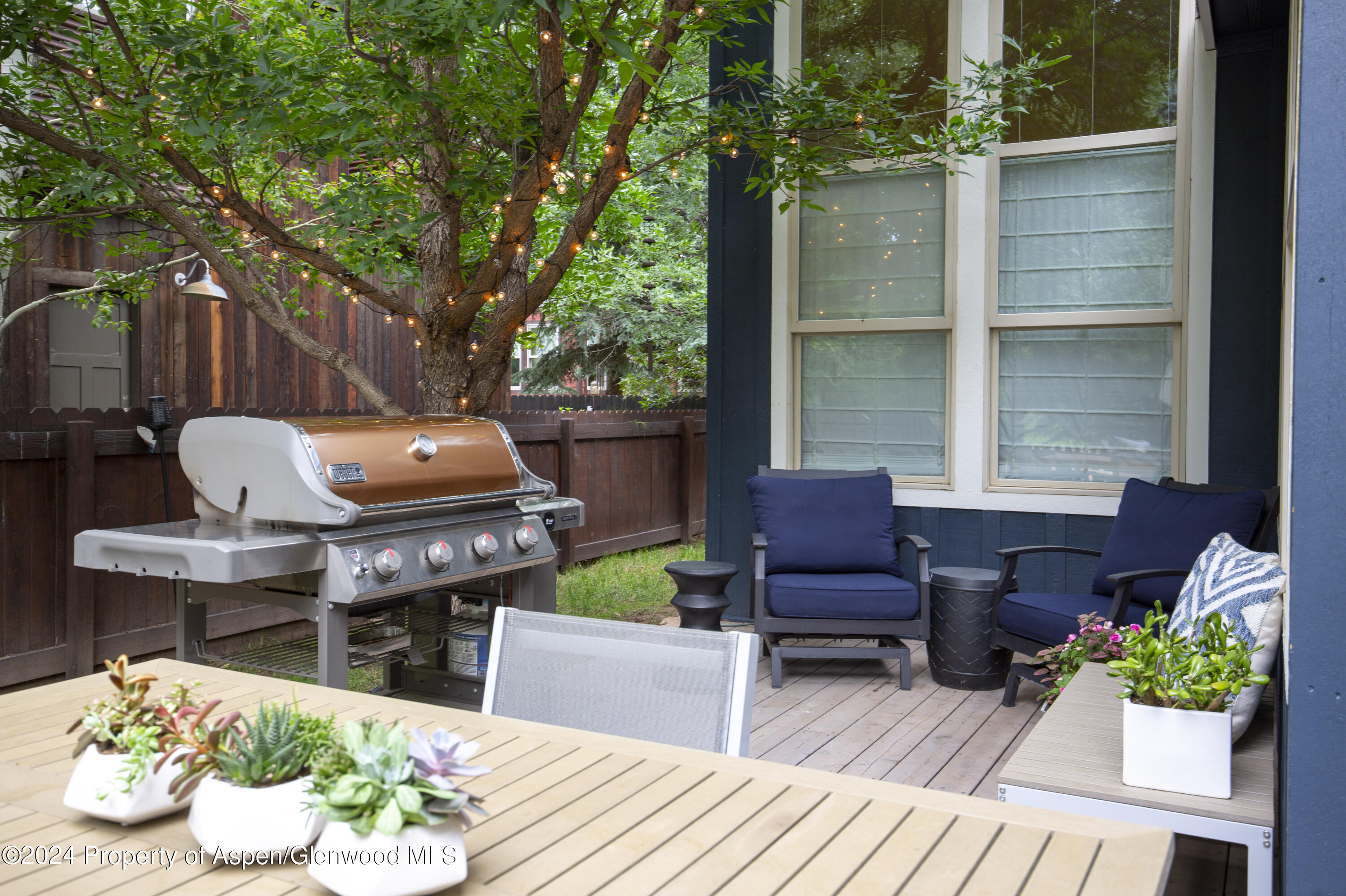 405 Meadow Court Basalt CO 81621