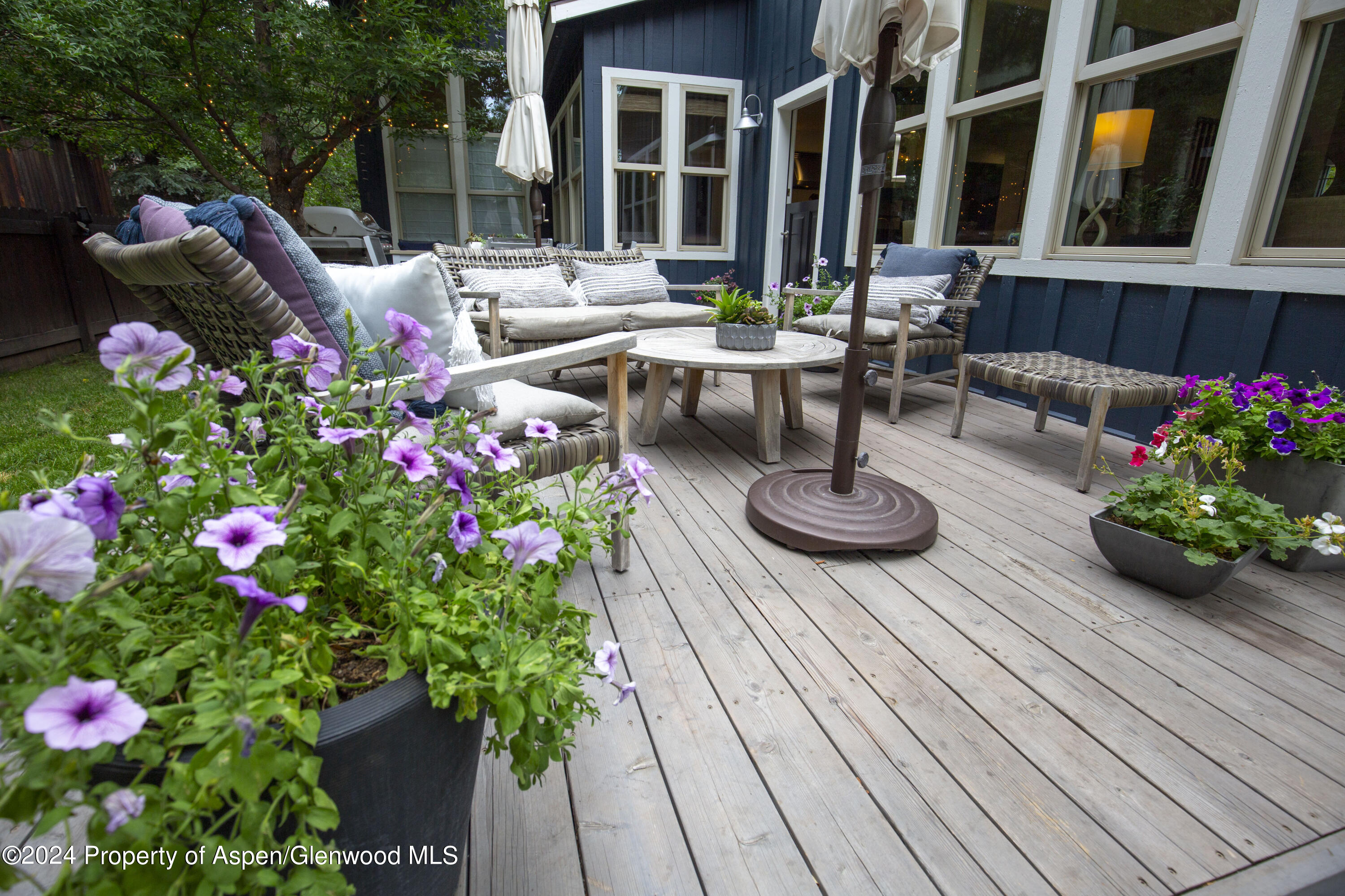 405 Meadow Court Basalt CO 81621