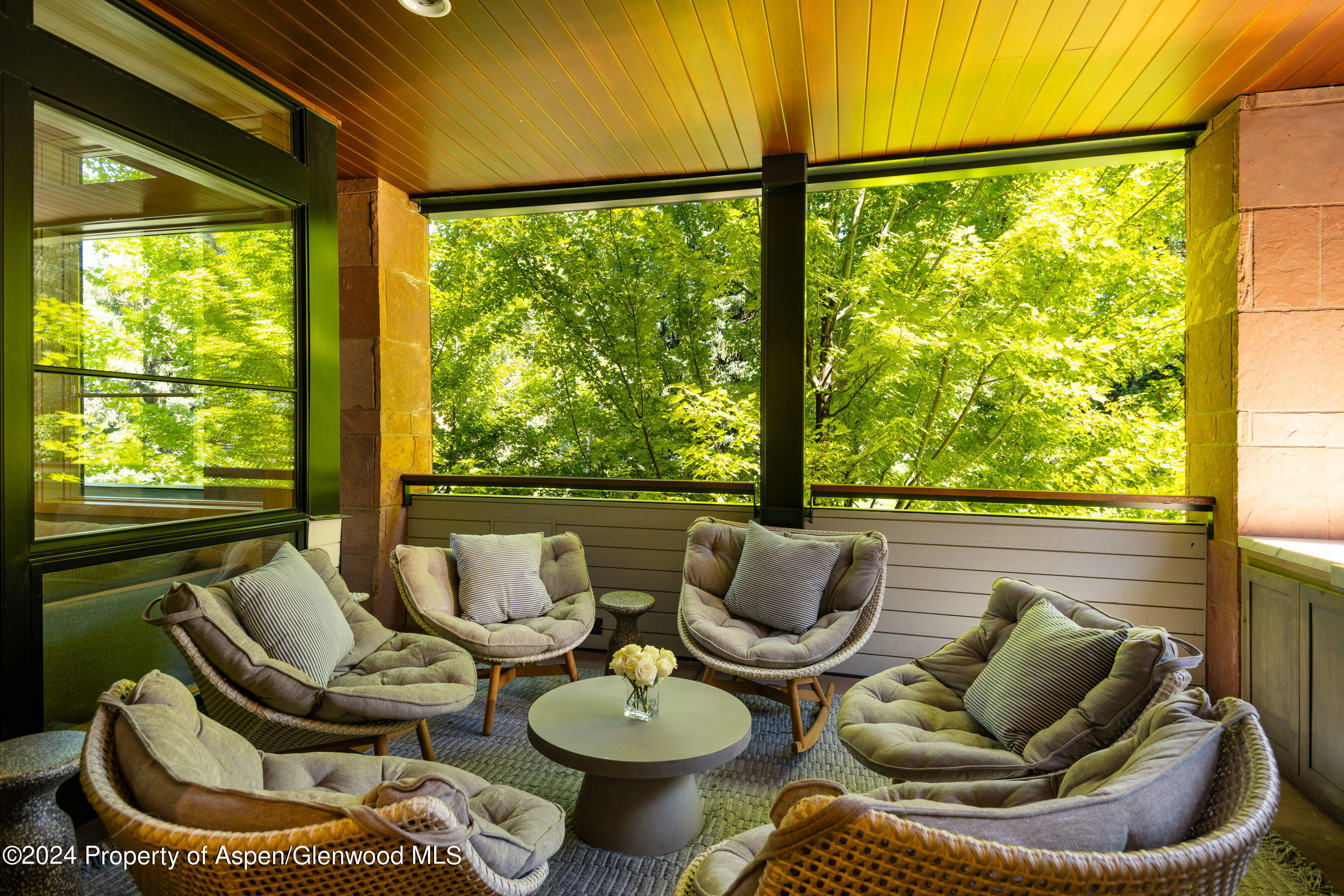 405 S Monarch Street Aspen CO 81611