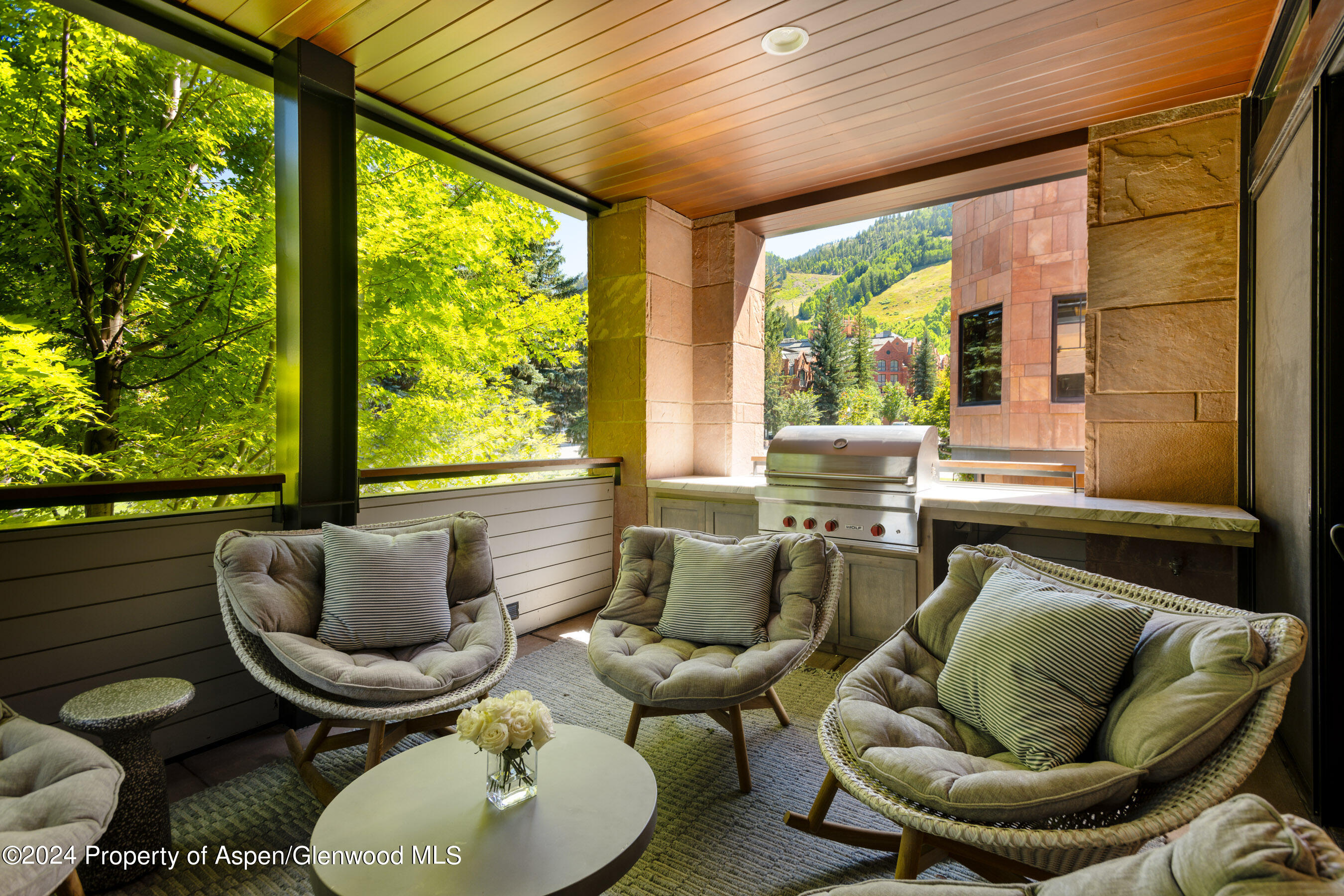 405 S Monarch Street Aspen CO 81611