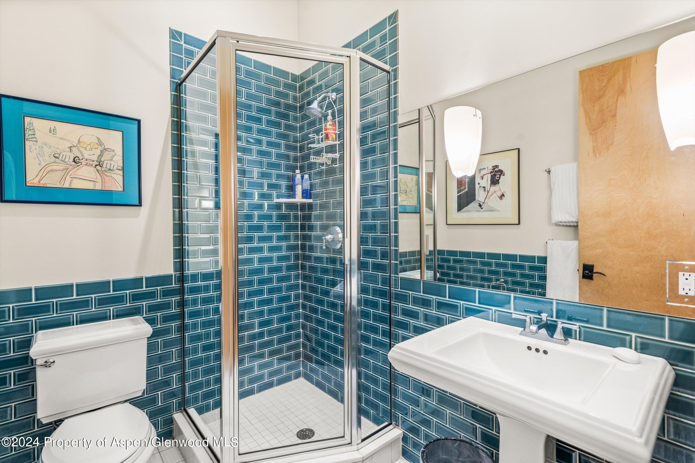 308 Park Avenue Aspen CO 81611