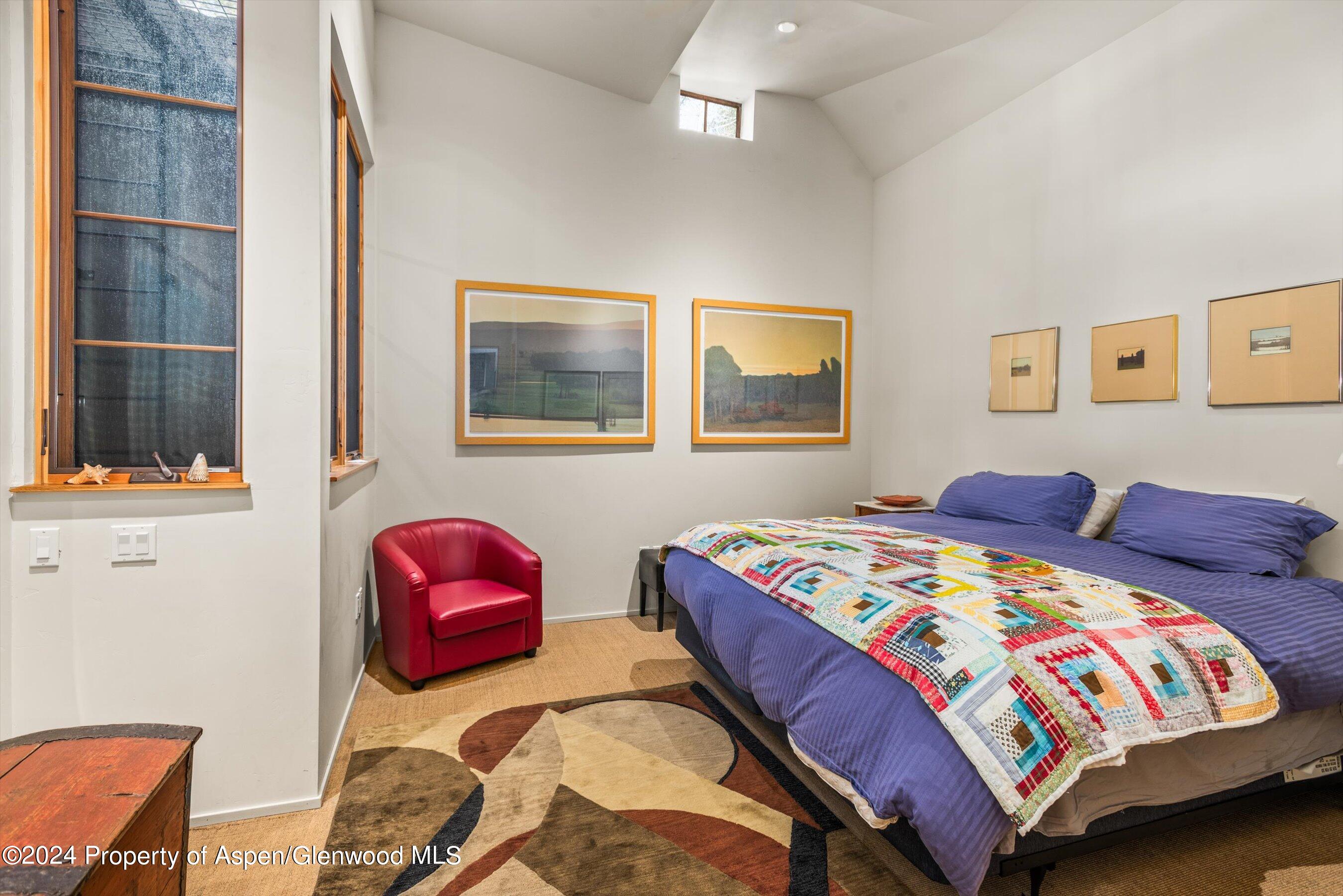 308 Park Avenue Aspen CO 81611