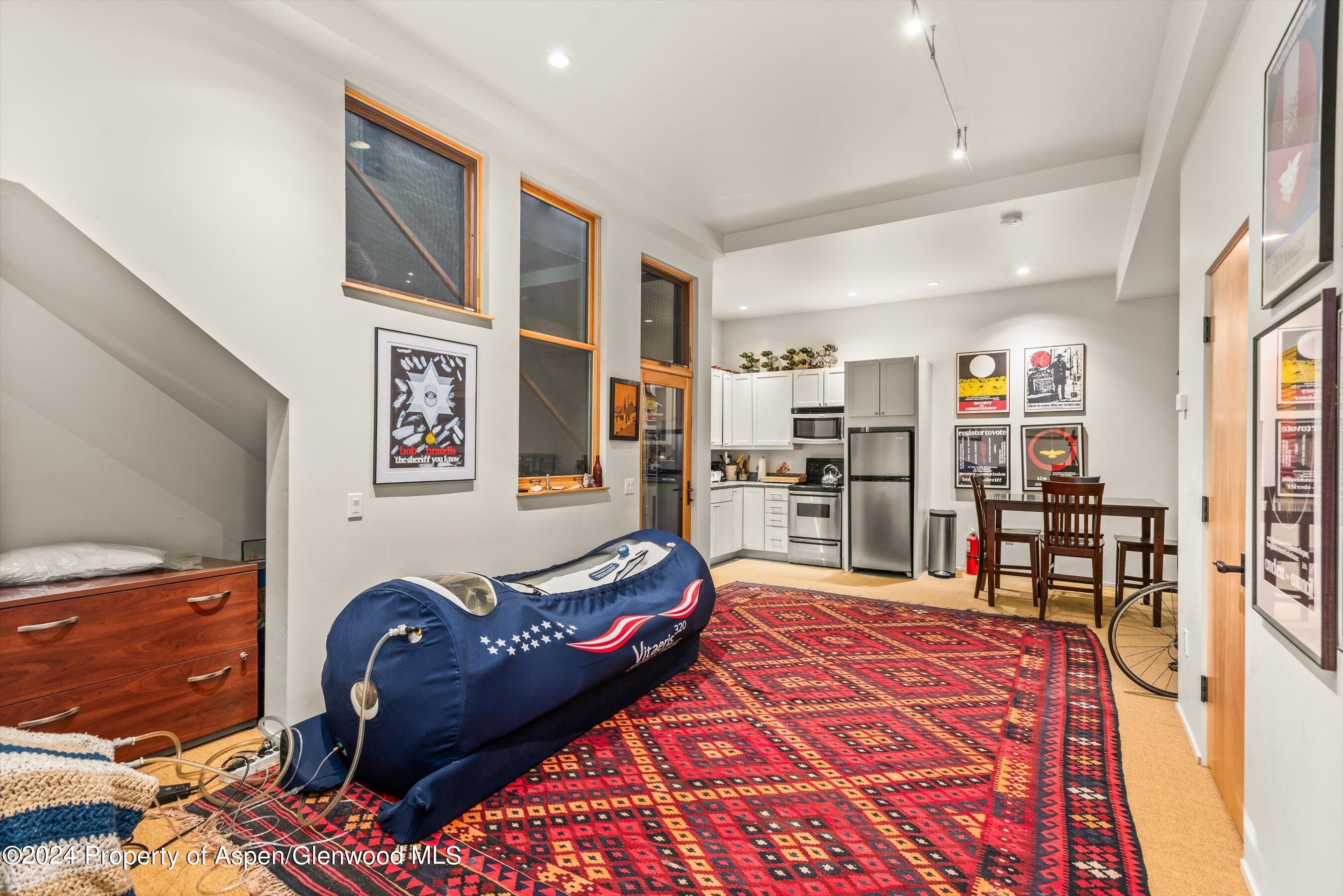 308 Park Avenue Aspen CO 81611