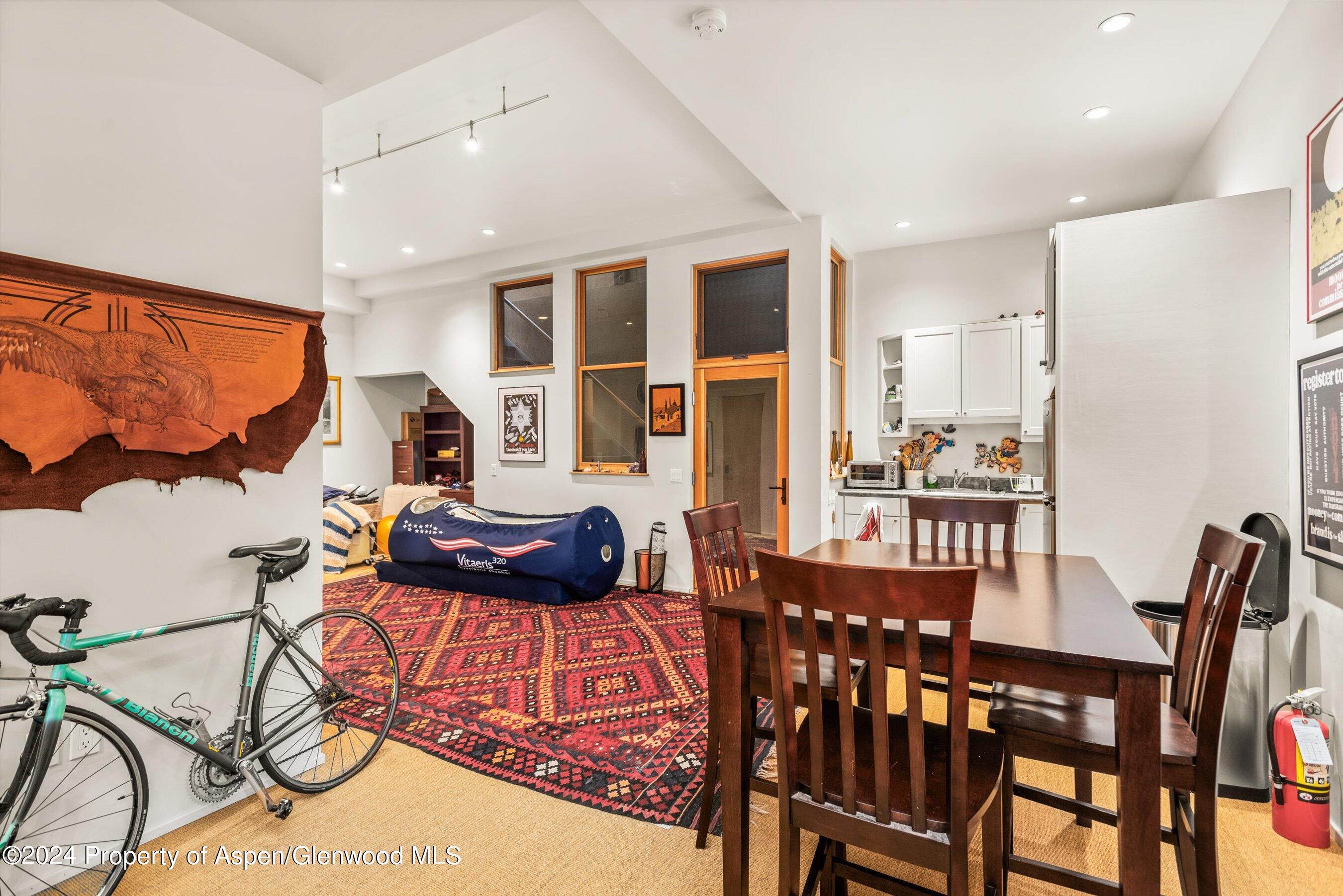 308 Park Avenue Aspen CO 81611