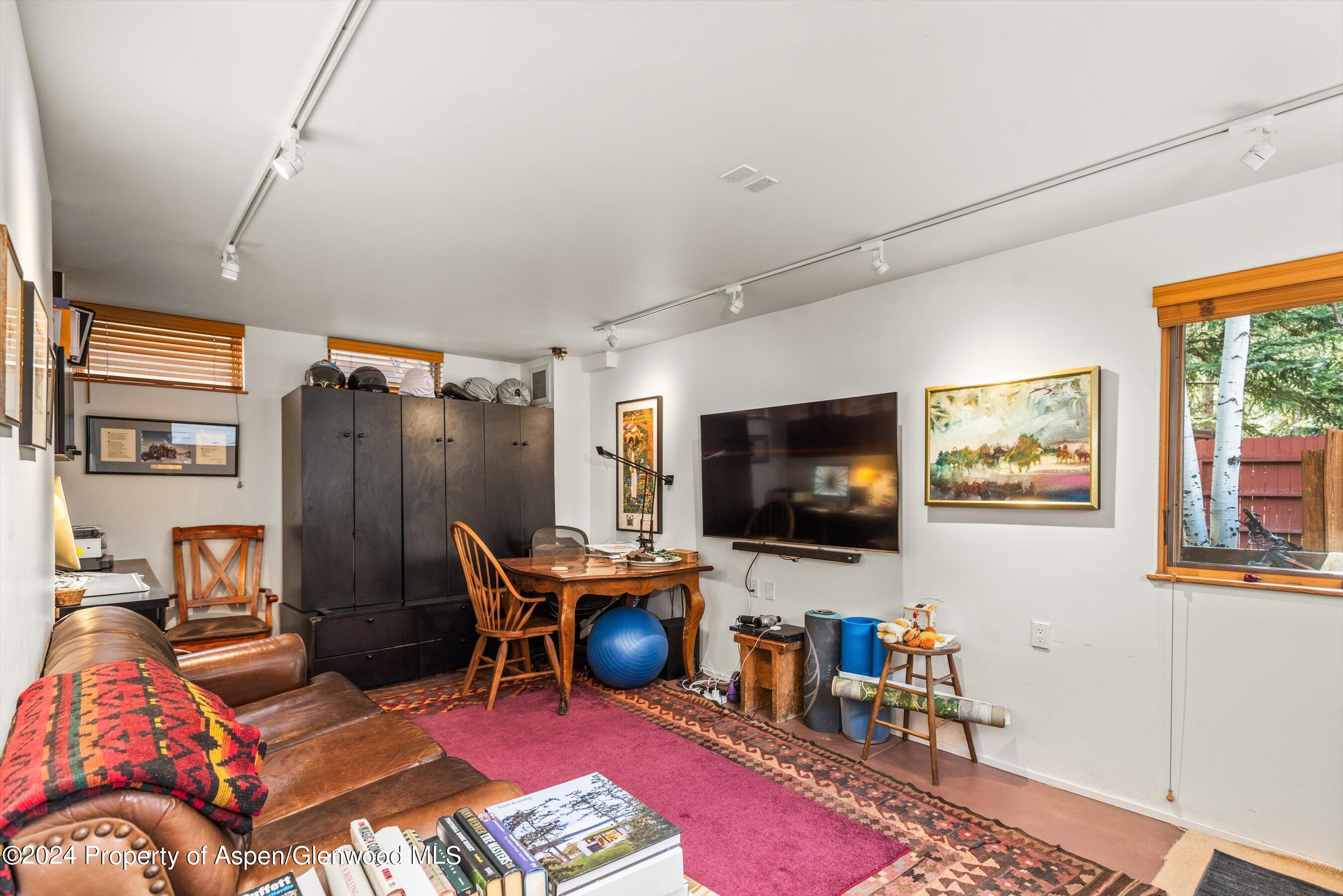 308 Park Avenue Aspen CO 81611