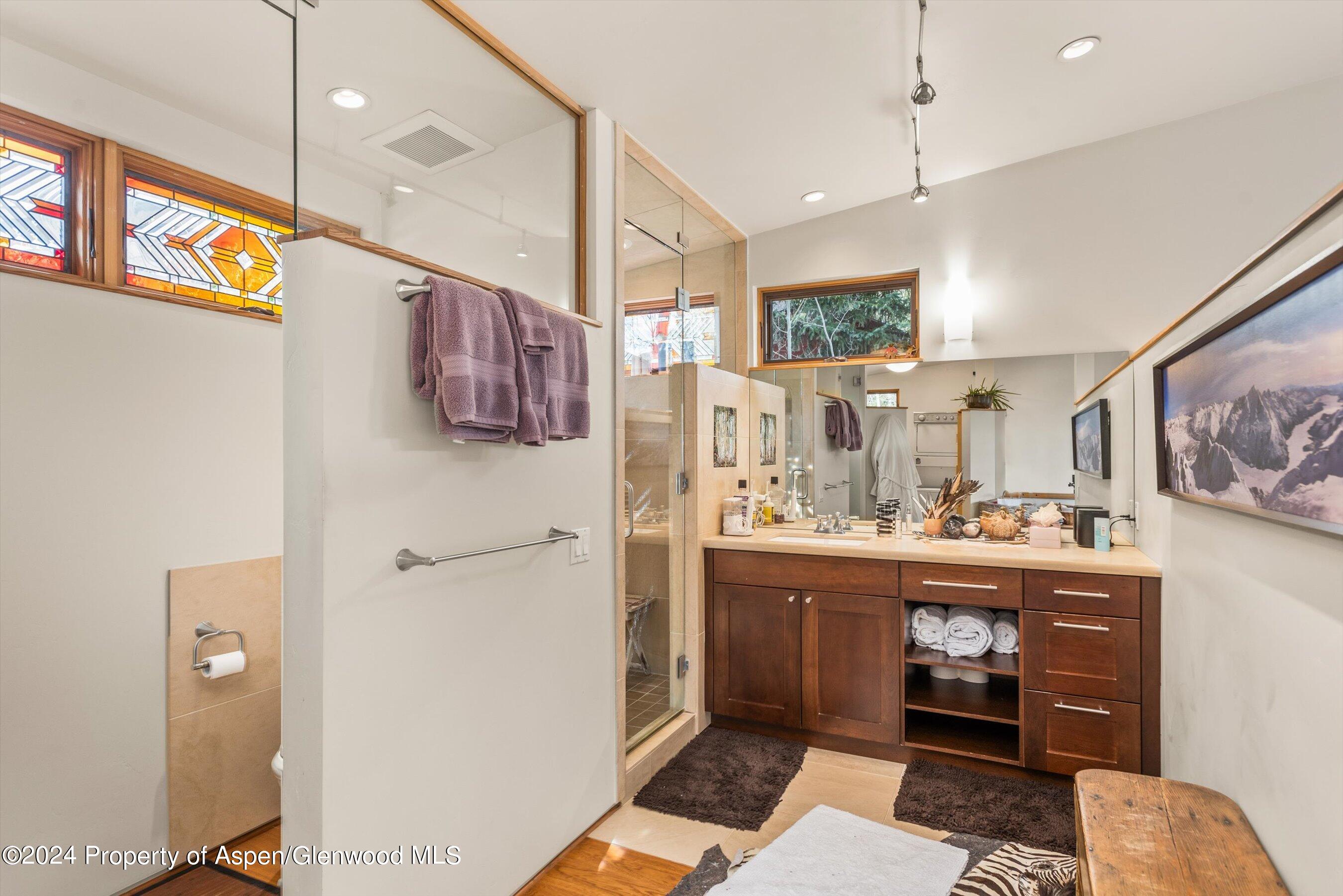 308 Park Avenue Aspen CO 81611