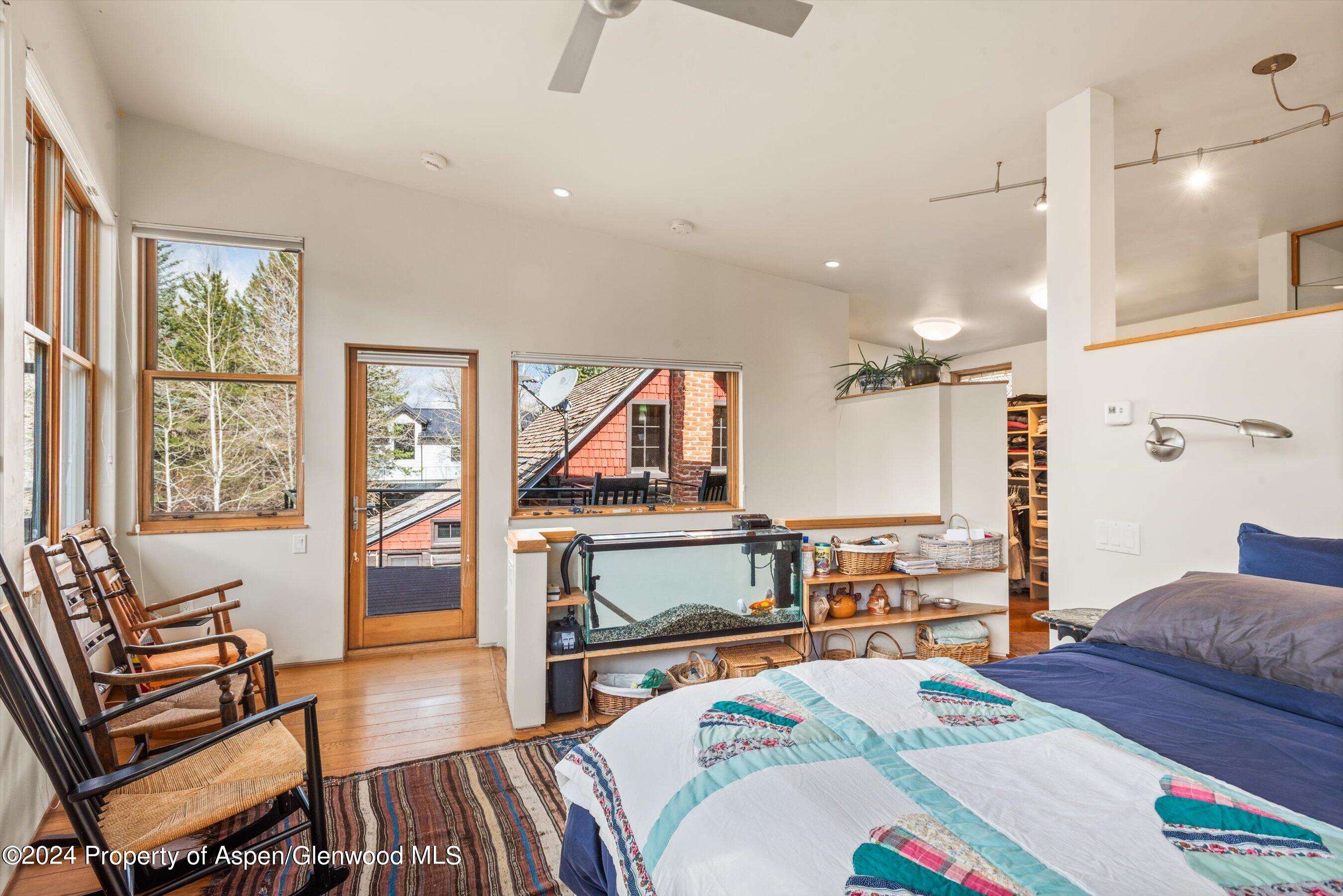 308 Park Avenue Aspen CO 81611