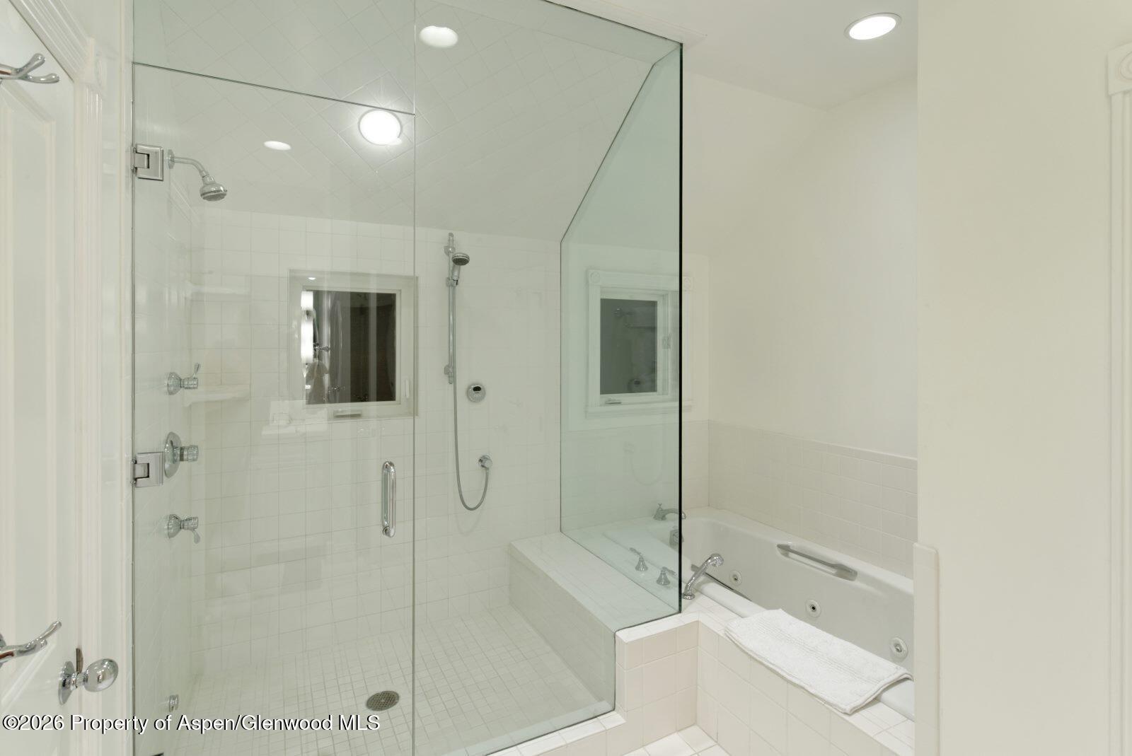 334 W Hallam Street Aspen CO 81611