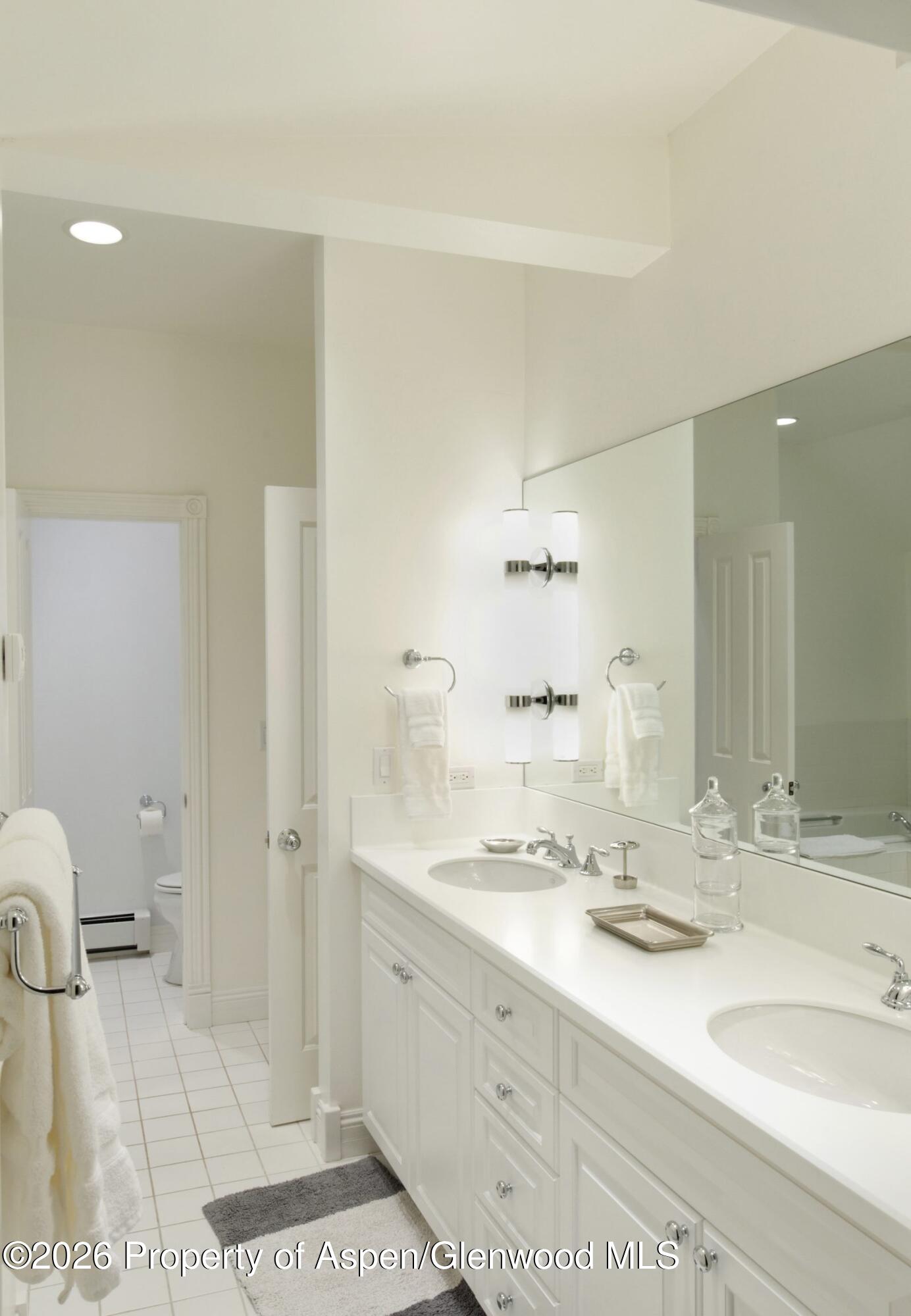 334 W Hallam Street Aspen CO 81611