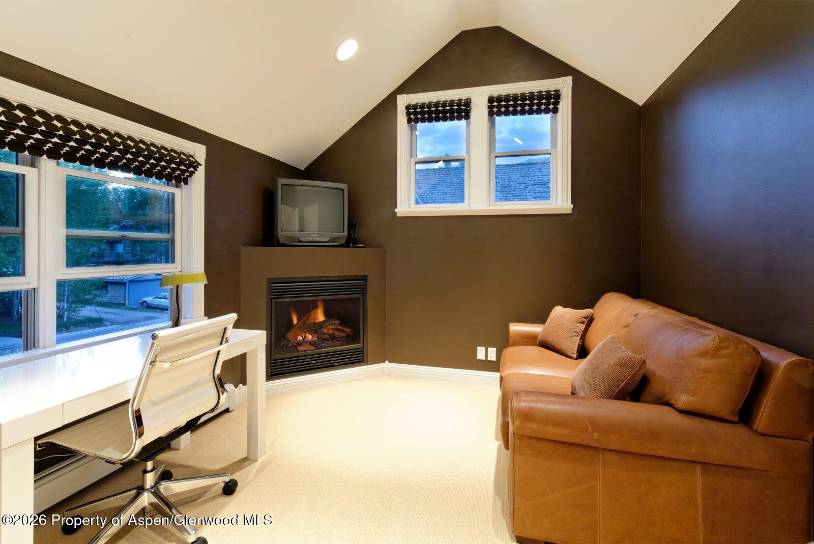 334 W Hallam Street Aspen CO 81611