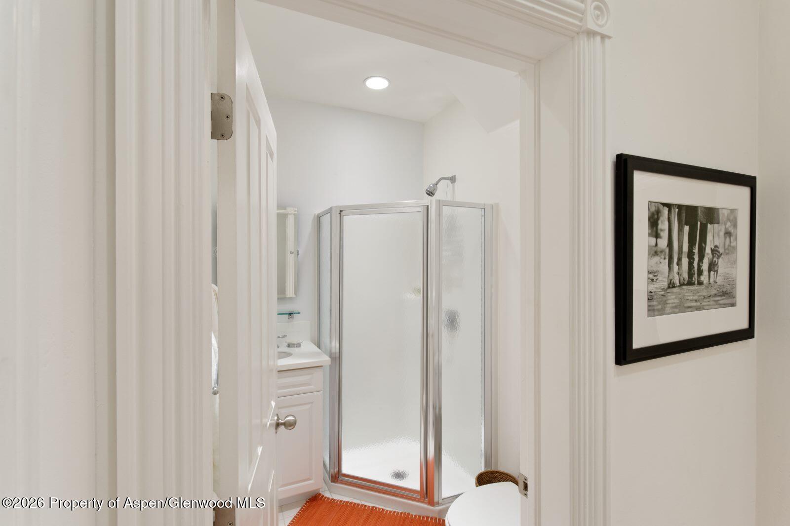 334 W Hallam Street Aspen CO 81611
