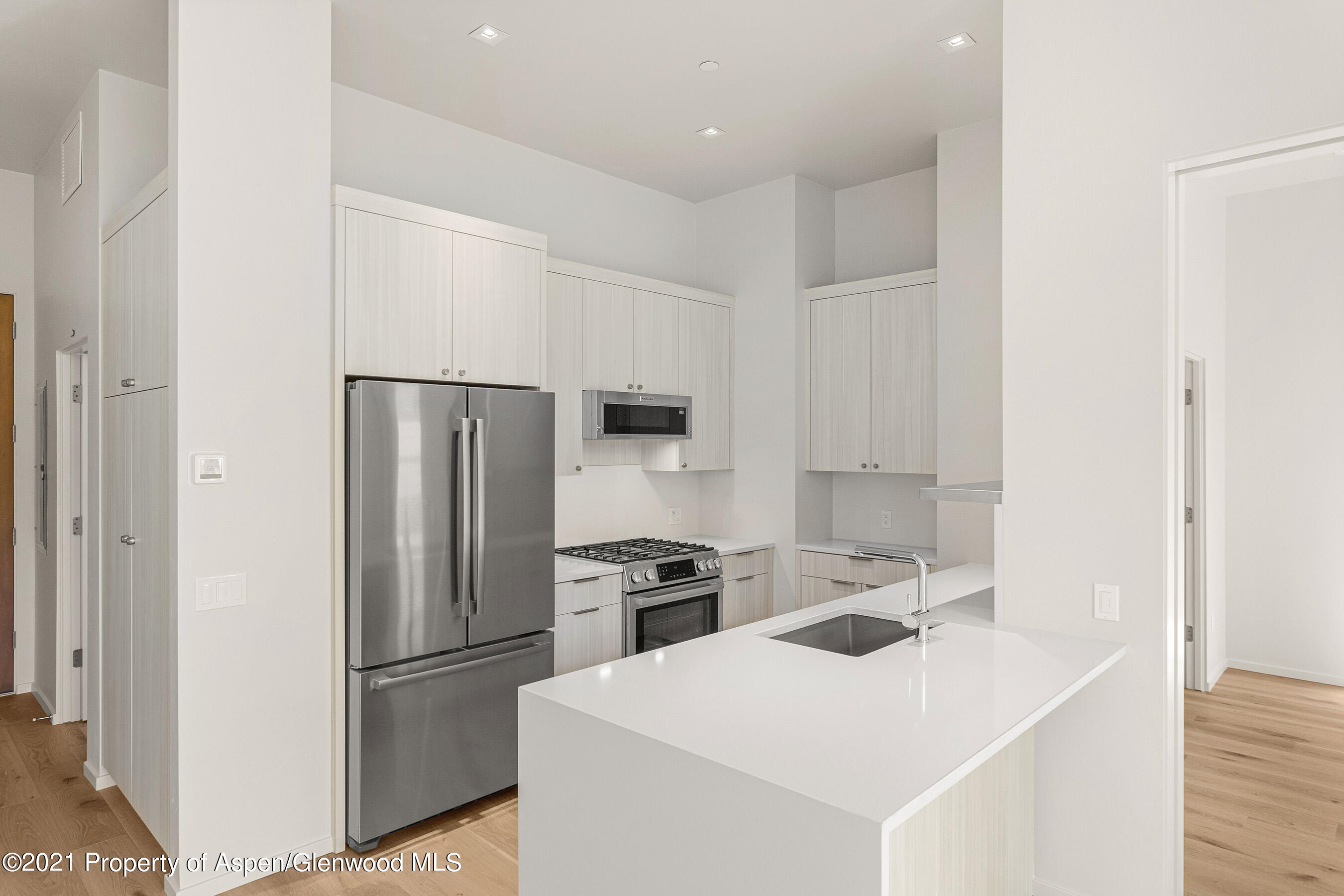 101 Willits Way Basalt CO 81621