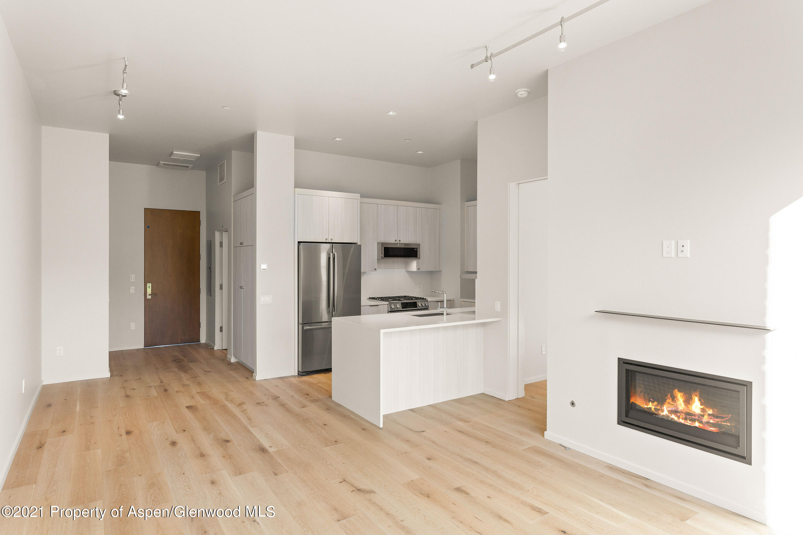 101 Willits Way Basalt CO 81621