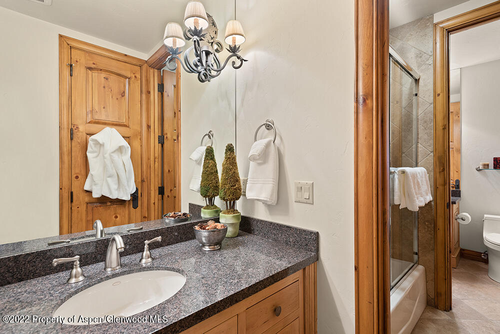 165 Miners Trail Road Aspen CO 81611