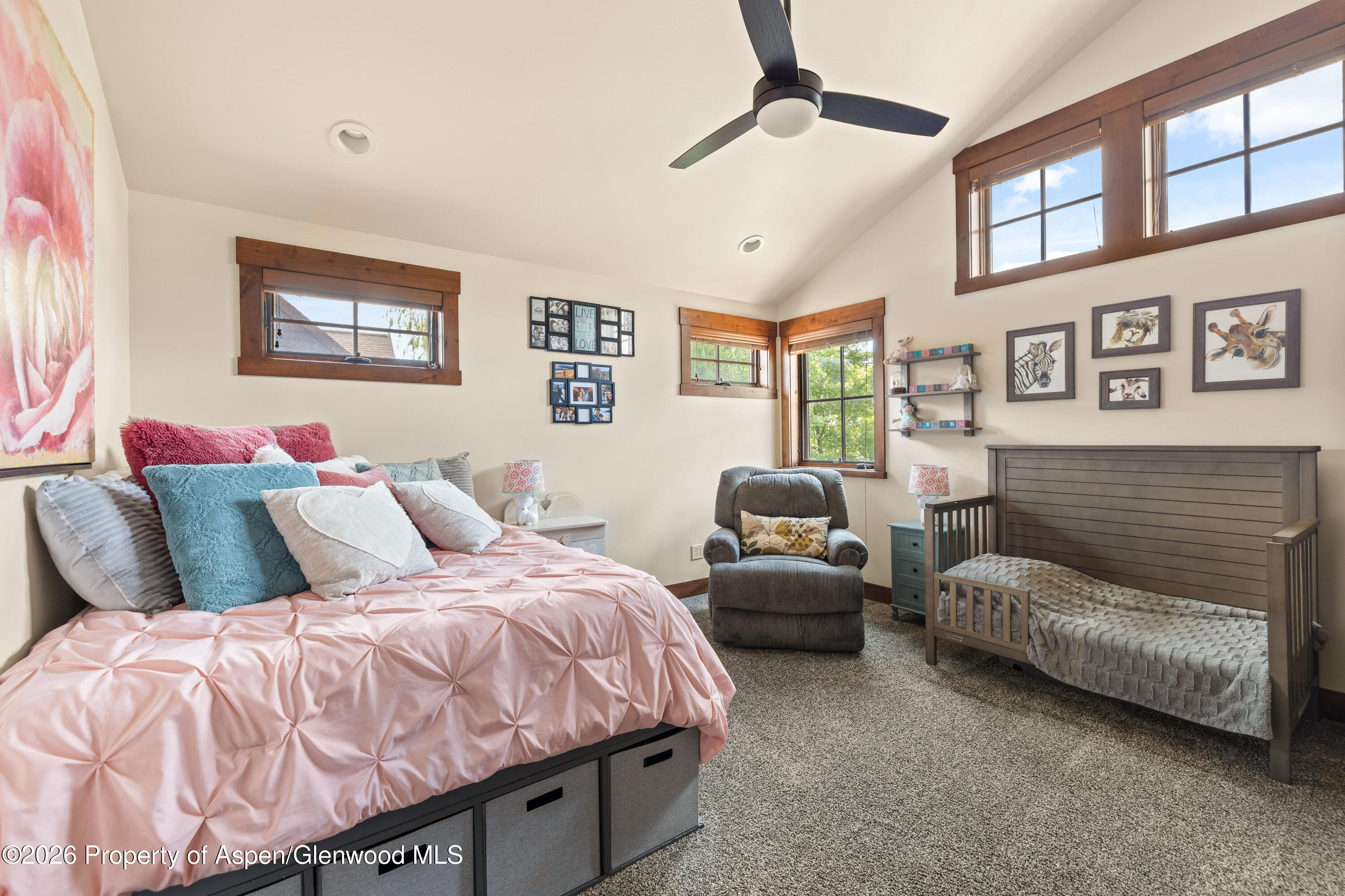 109 Valley Court Basalt CO 81621