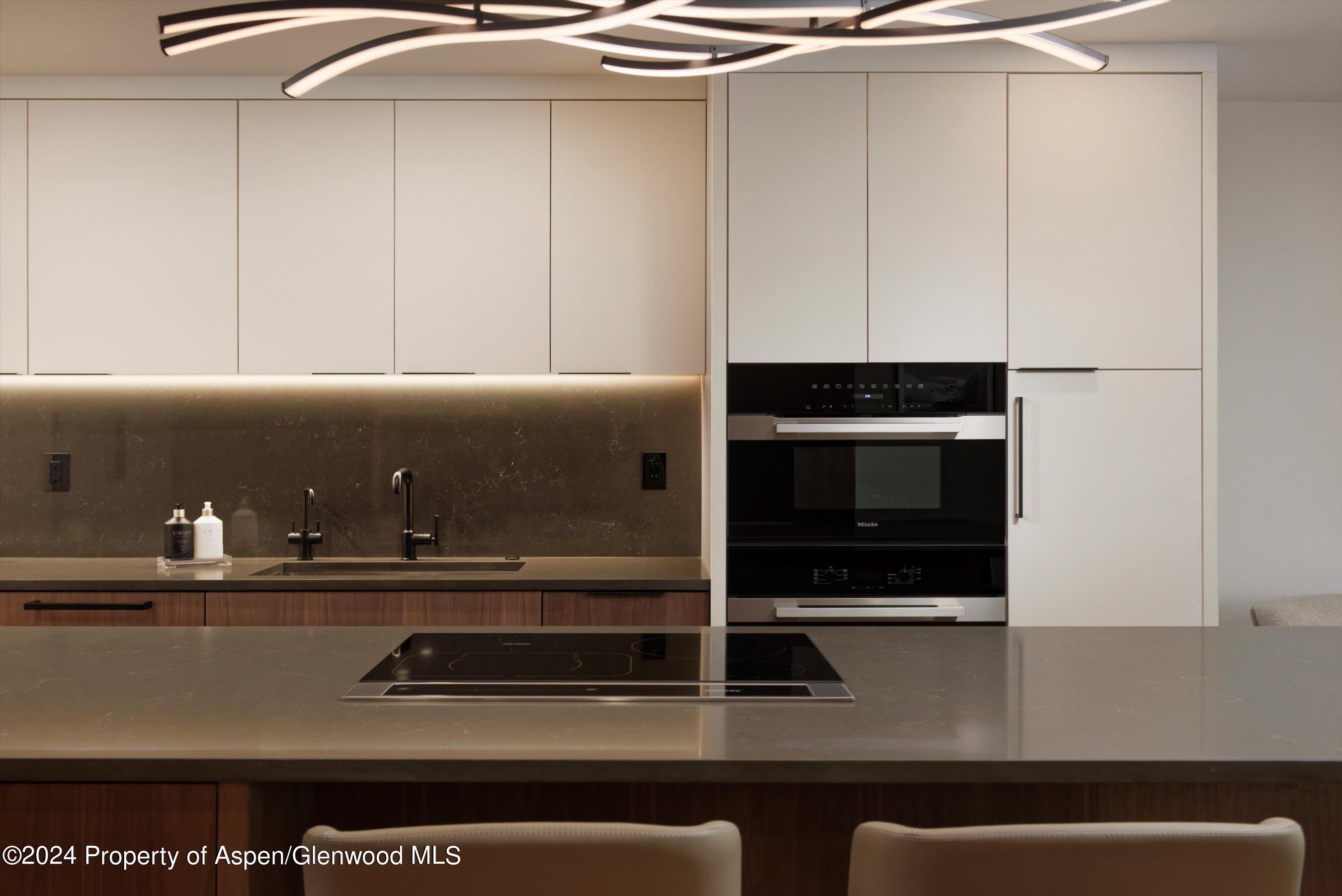 205 E Durant Avenue Aspen CO 81611