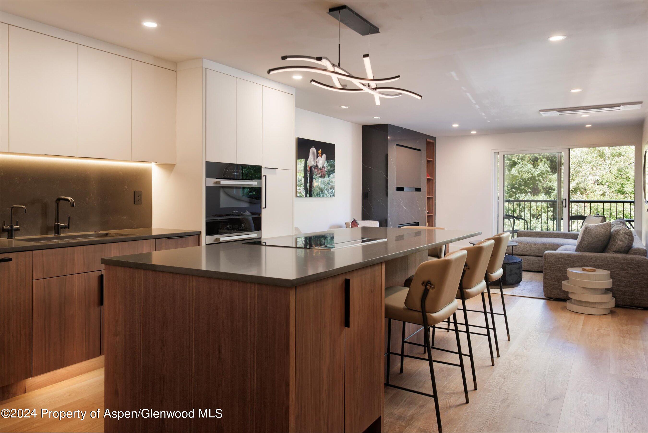 205 E Durant Avenue Aspen CO 81611