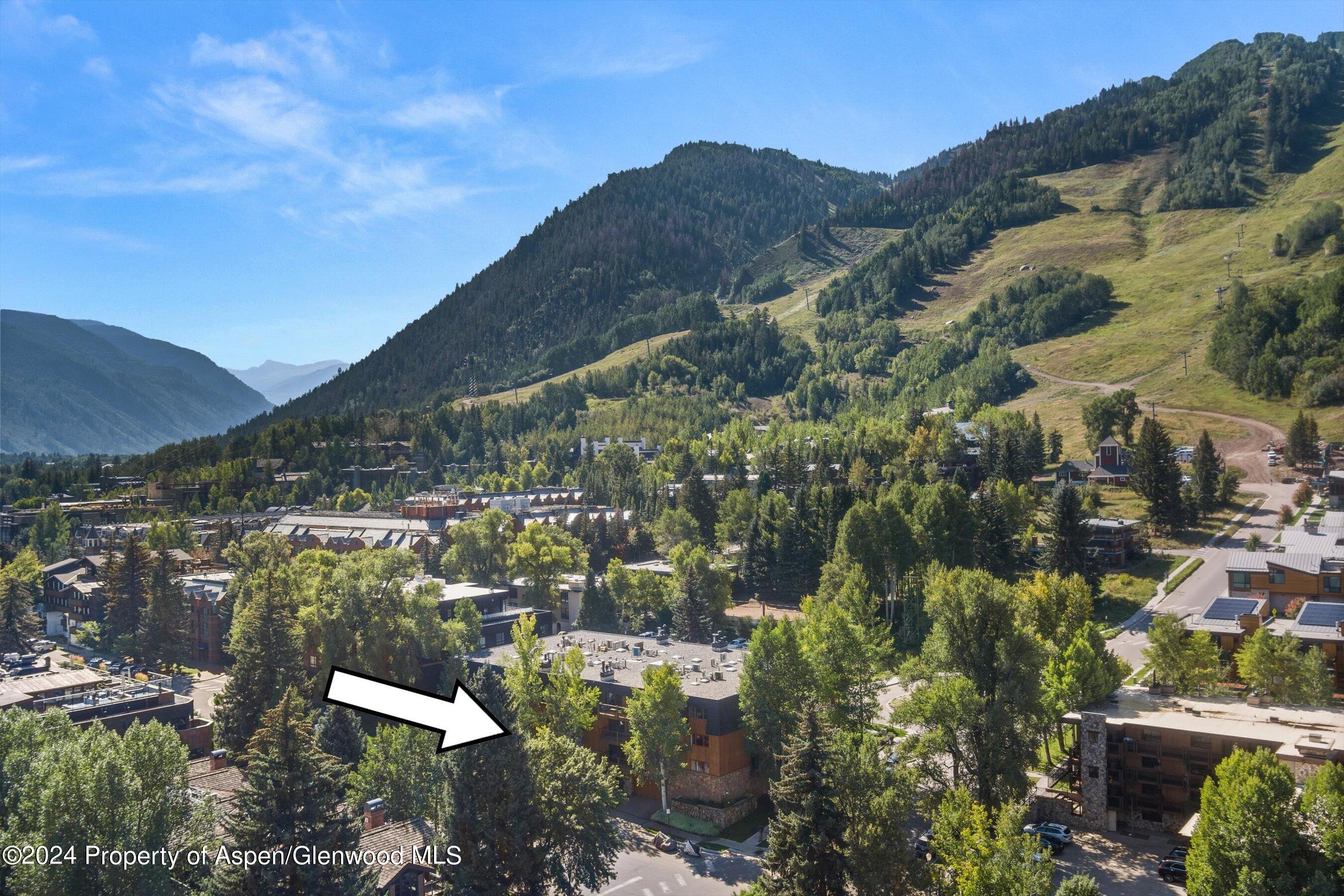 205 E Durant Avenue Aspen CO 81611